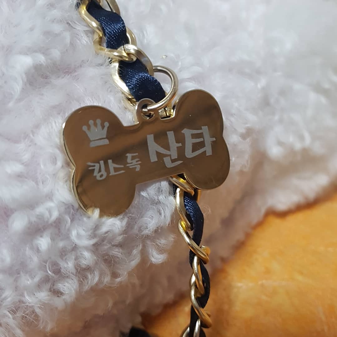 킹스독 대표 이미지
