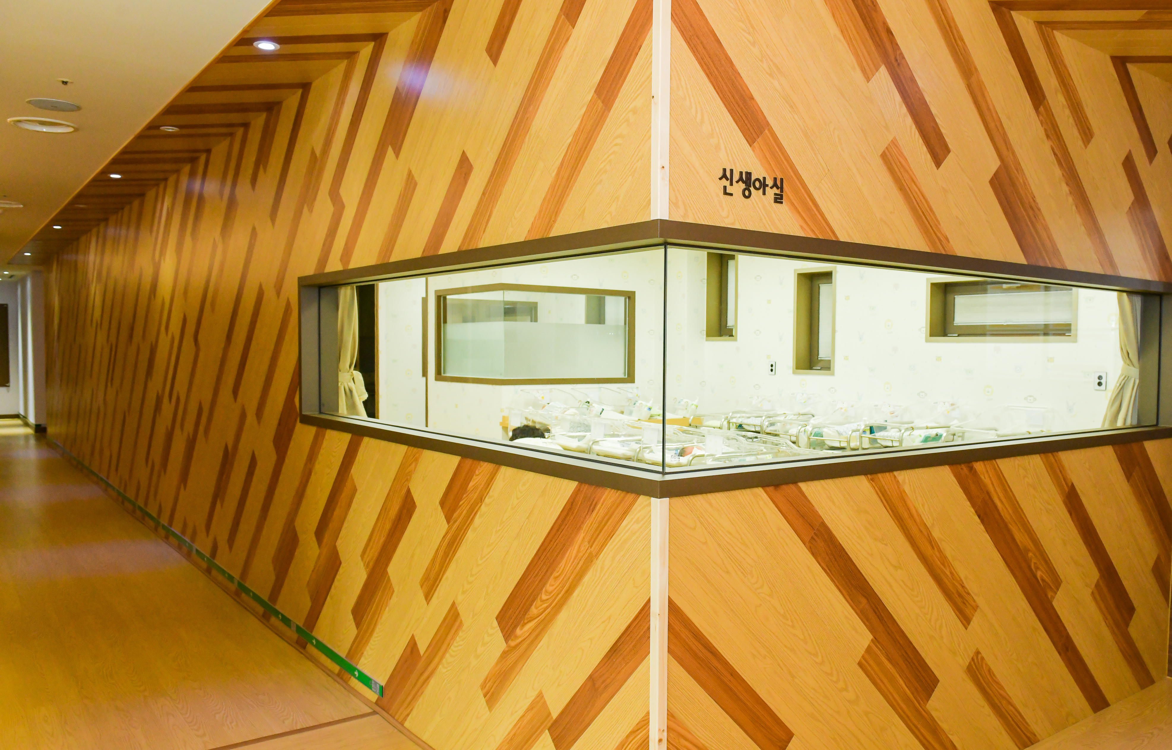 럭스엘리시아 photo 5