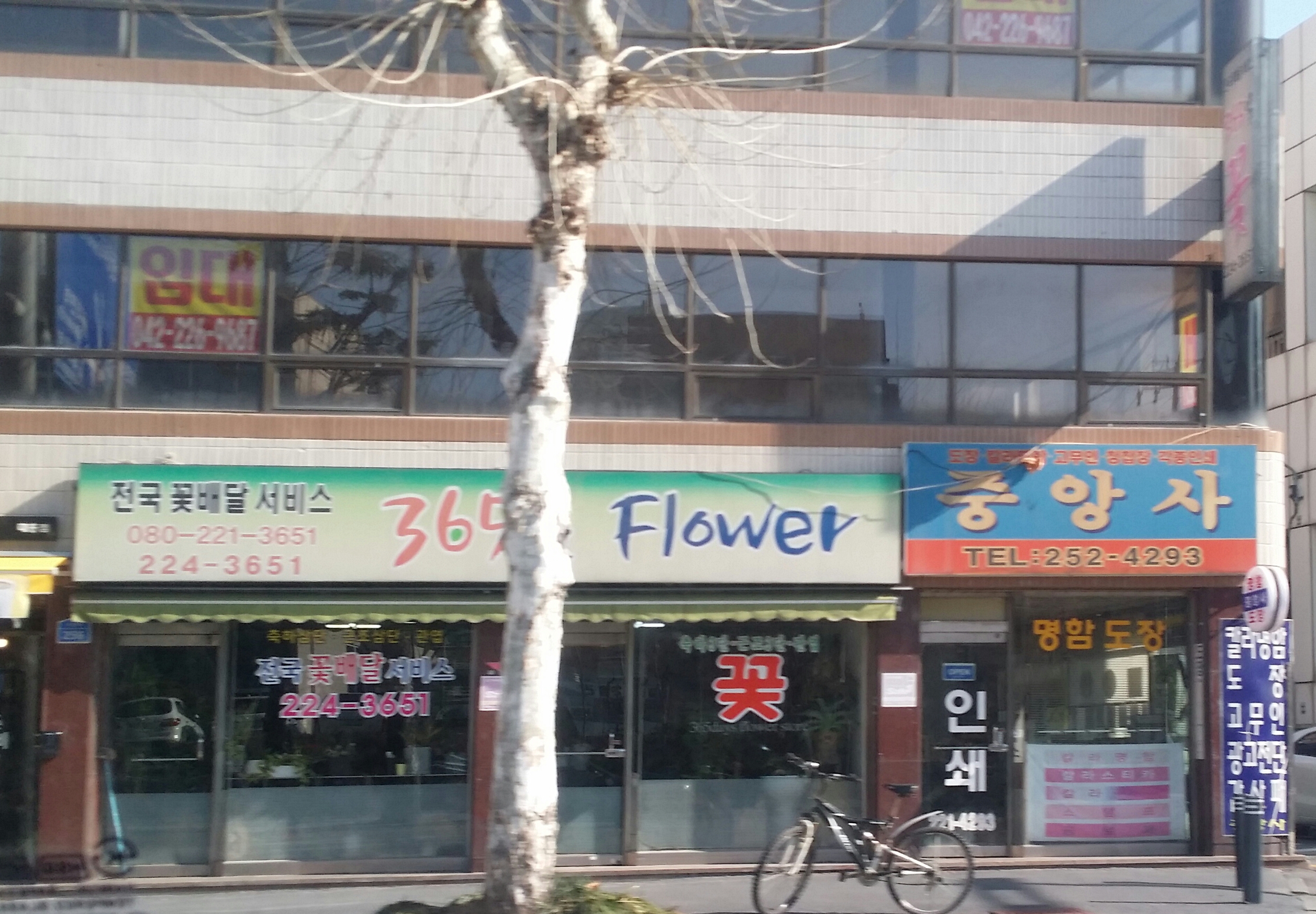 중앙사