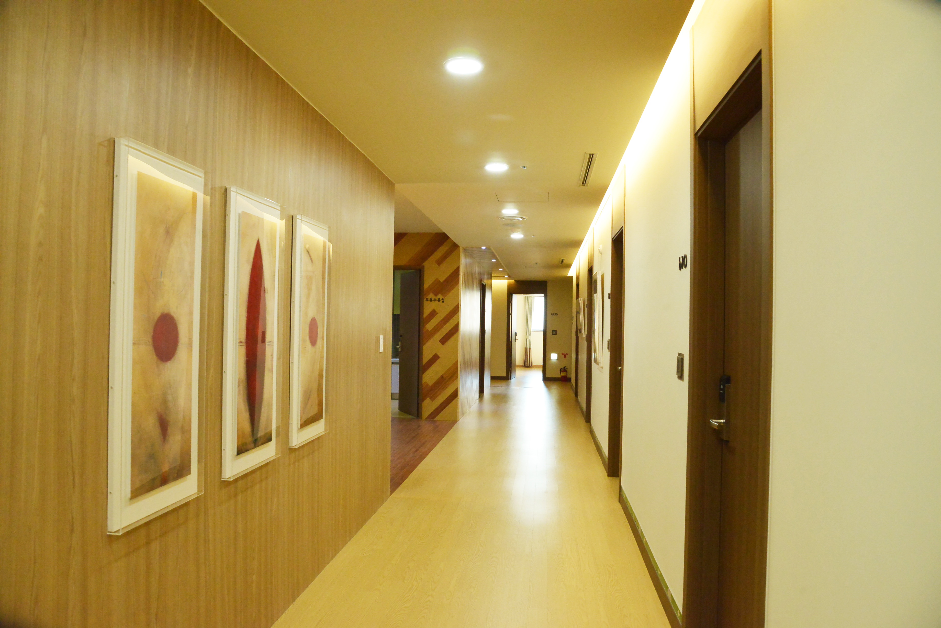 럭스엘리시아 photo 3