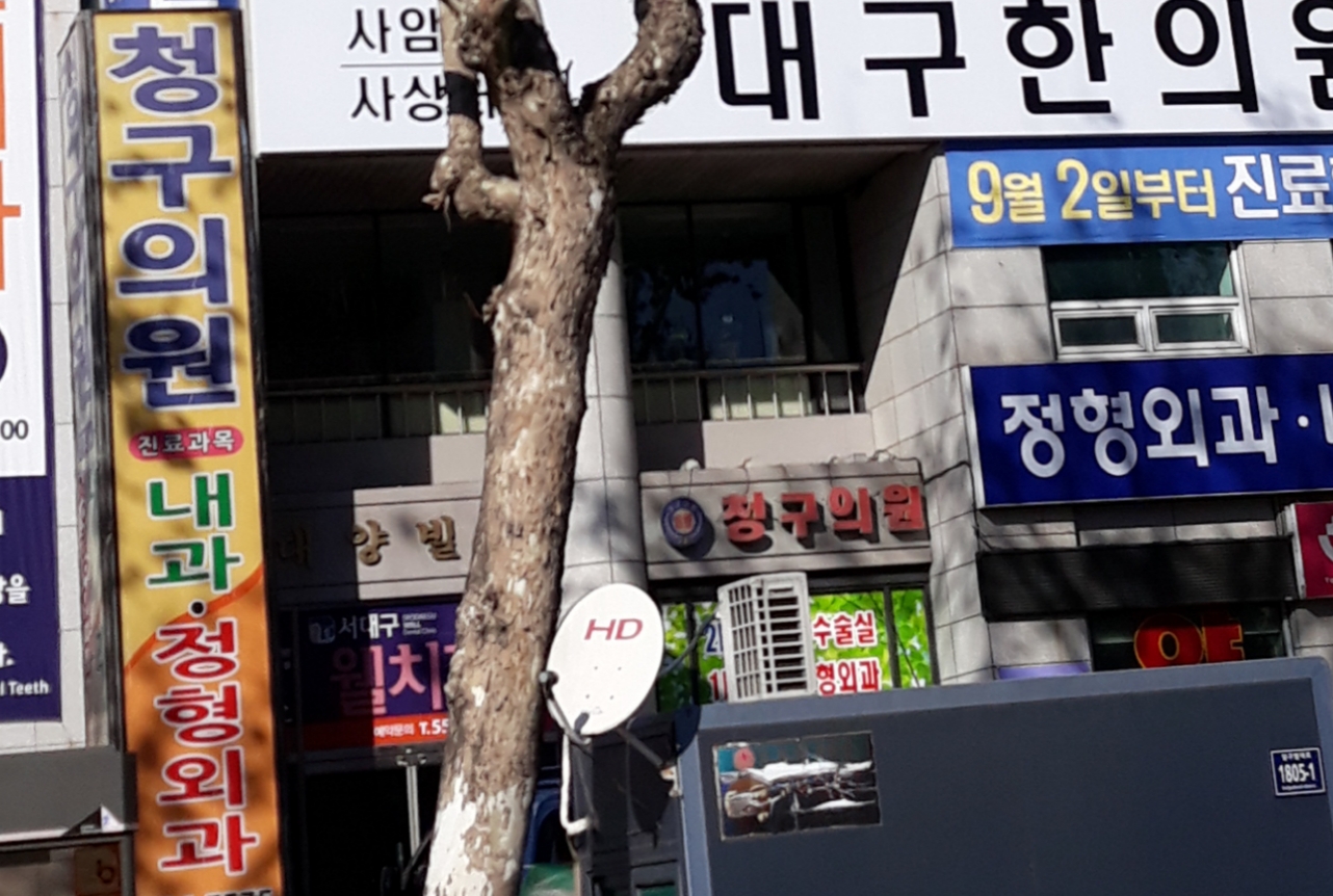 청구의원 대표 이미지