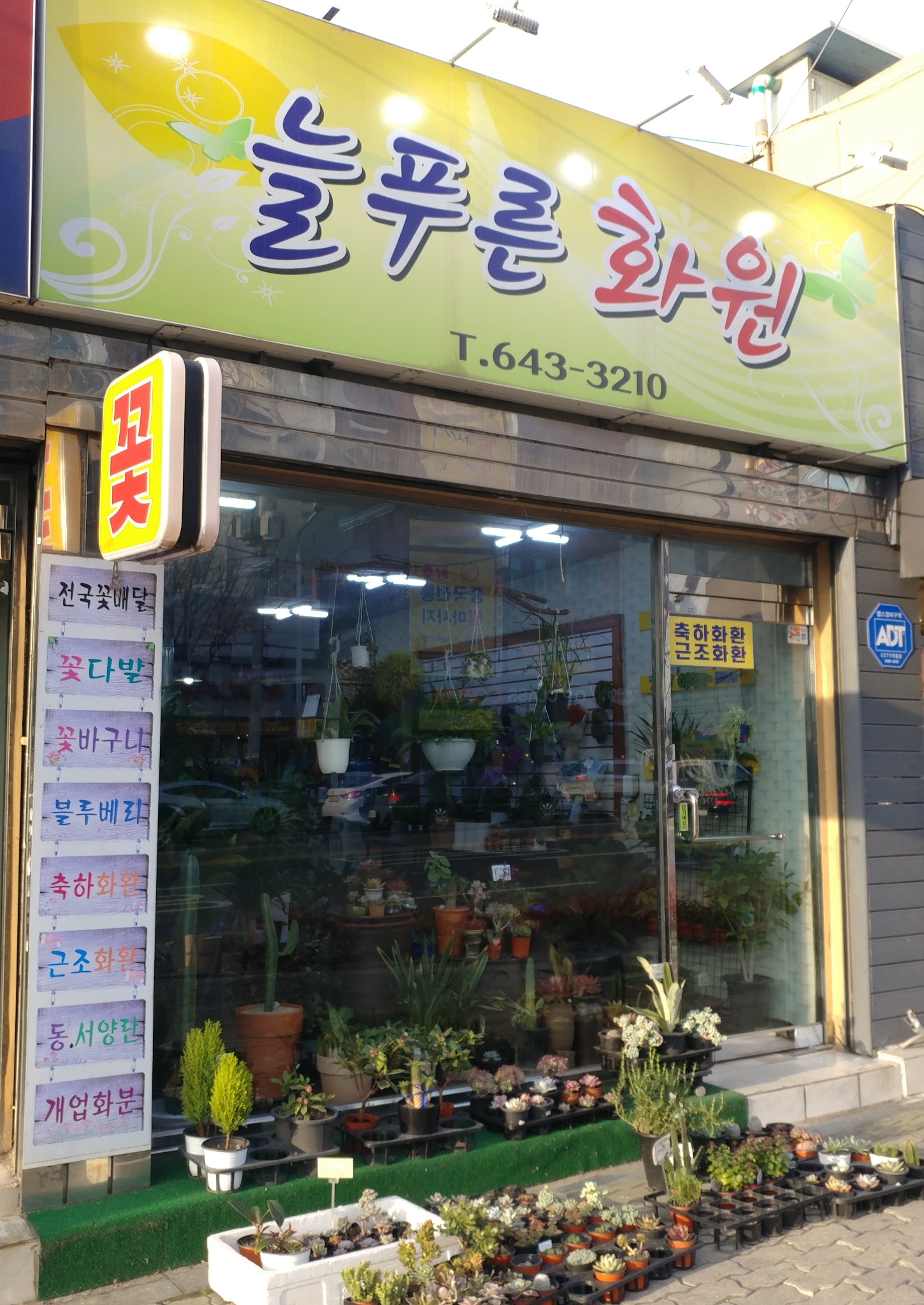 늘푸른화원