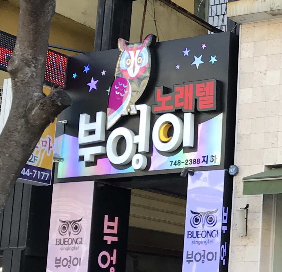 부엉이