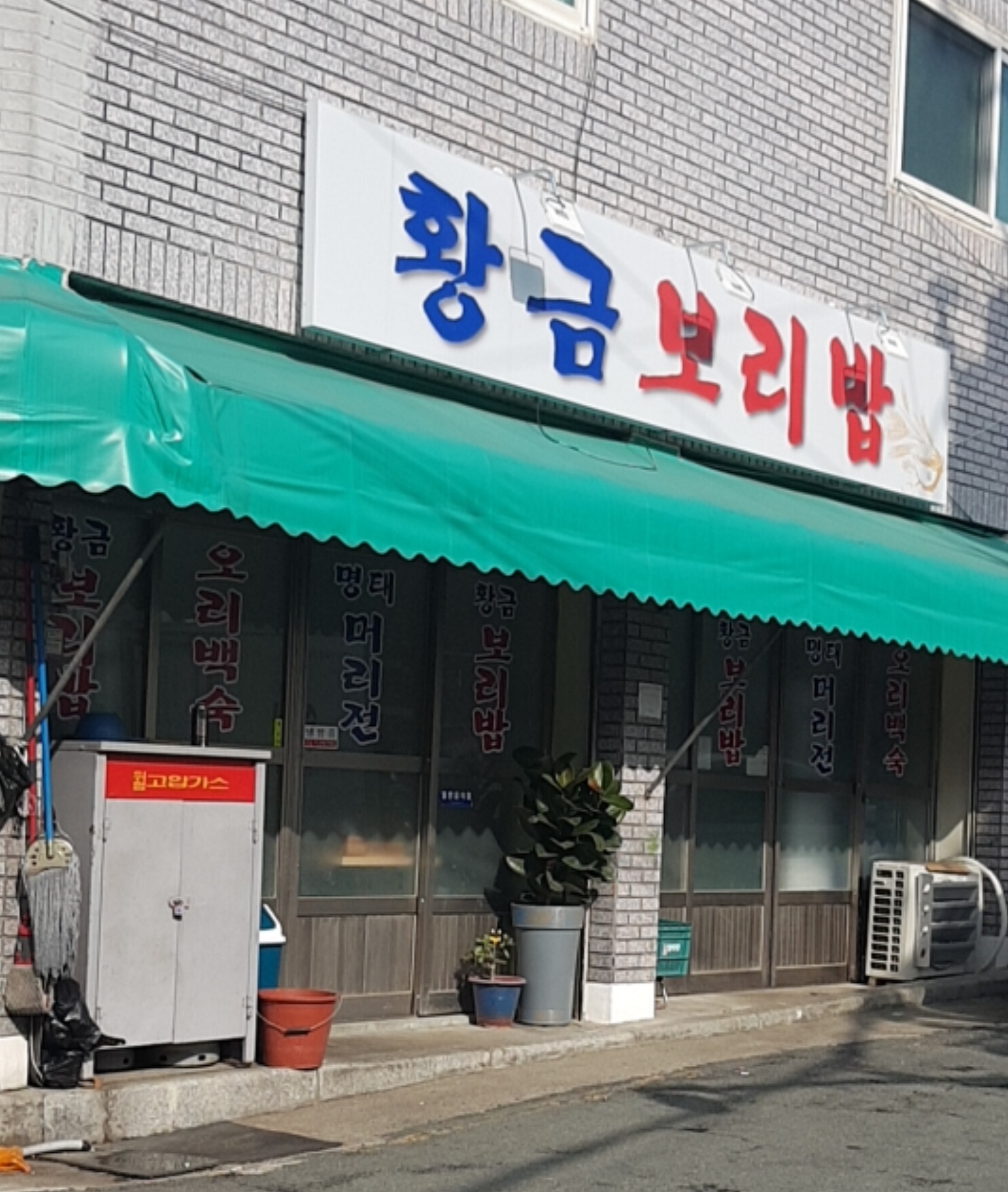황금보리밥
