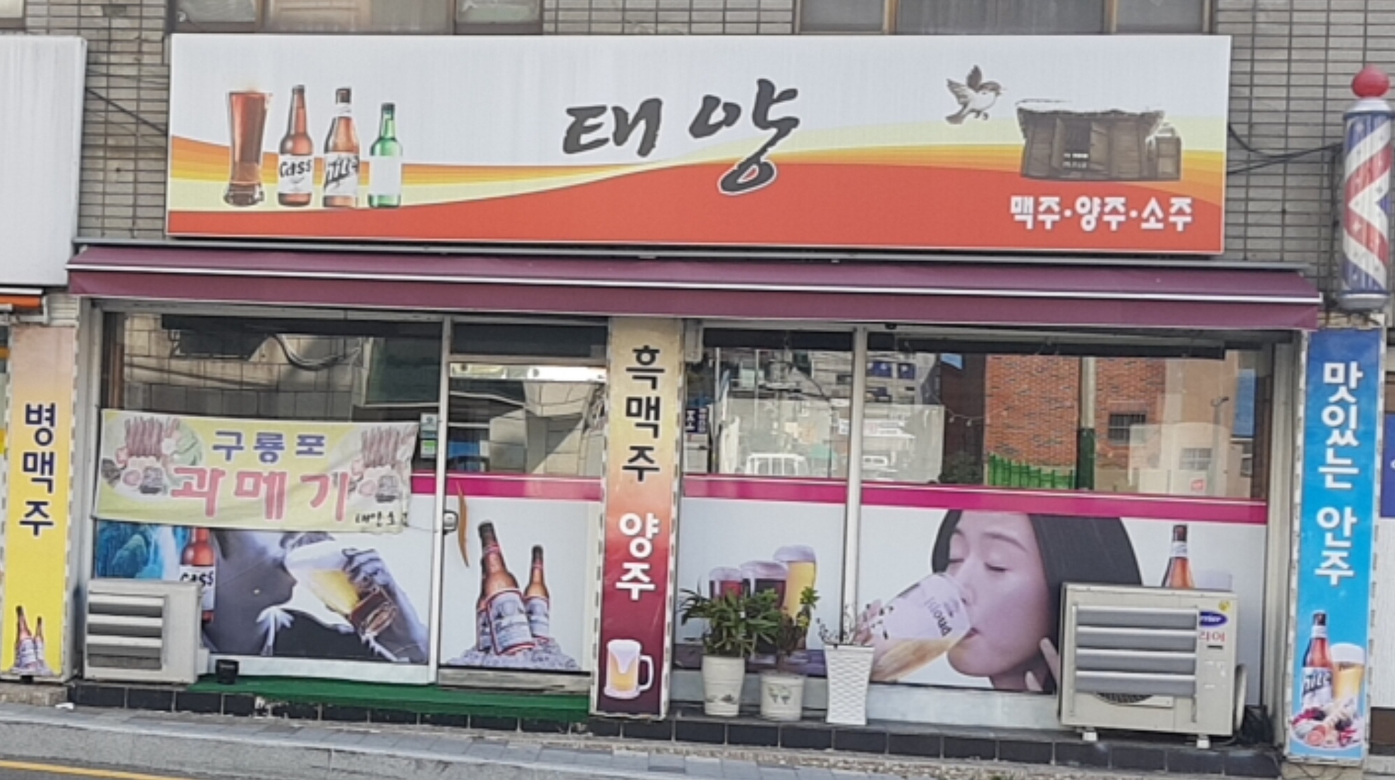 태양