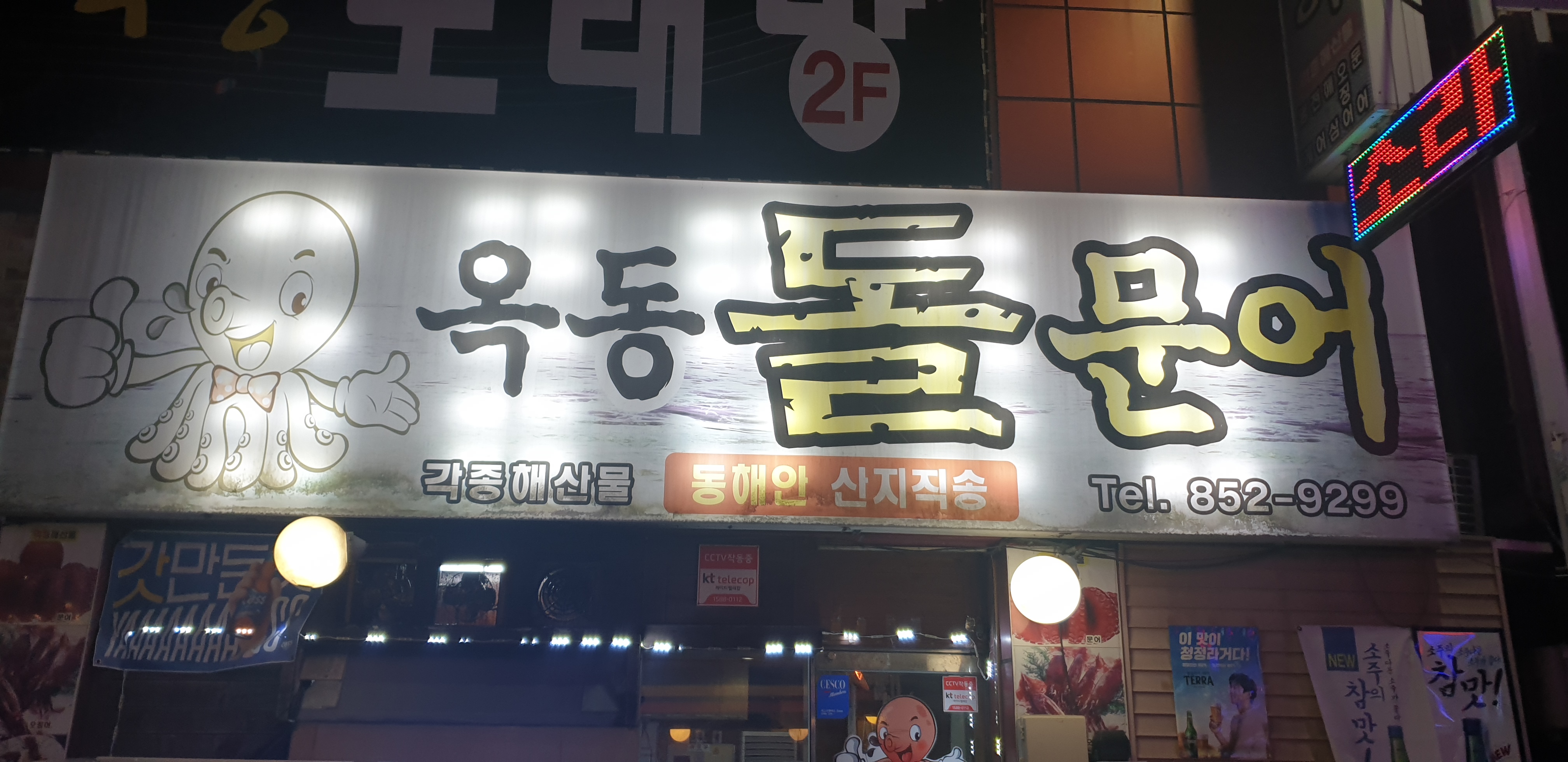 옥동돌문어