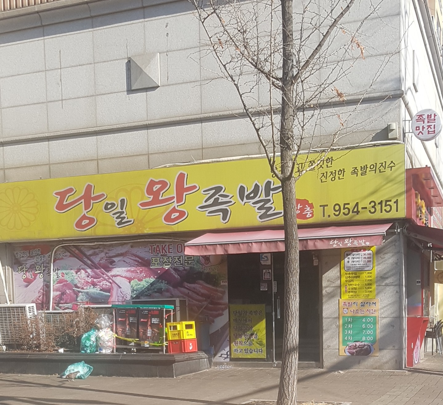 당일왕족발