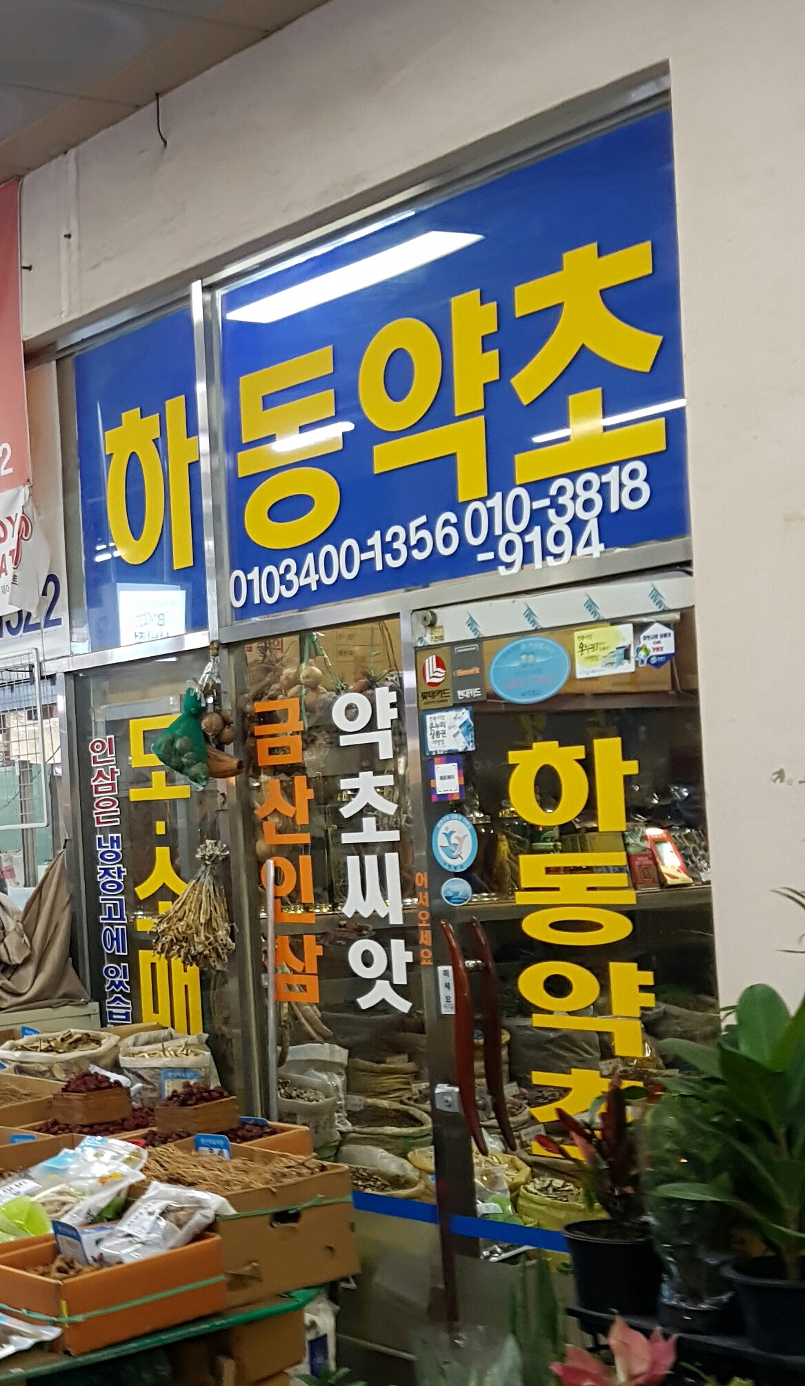 하동약초