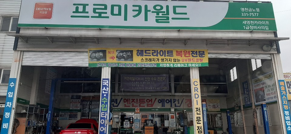 프로미카월드 영천금노점