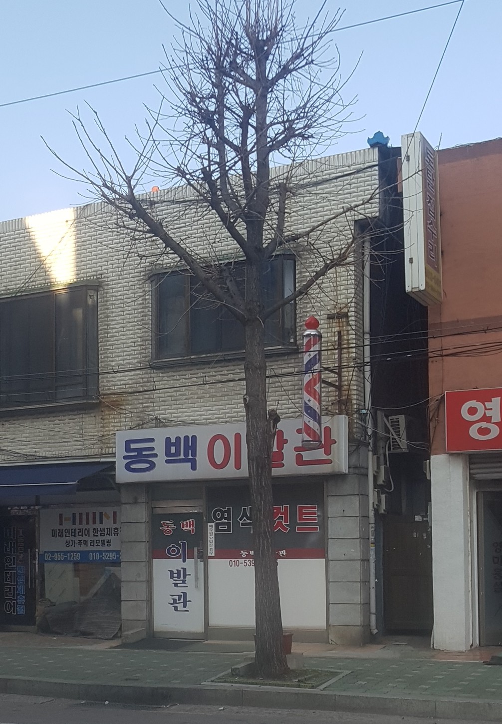 동백이발관