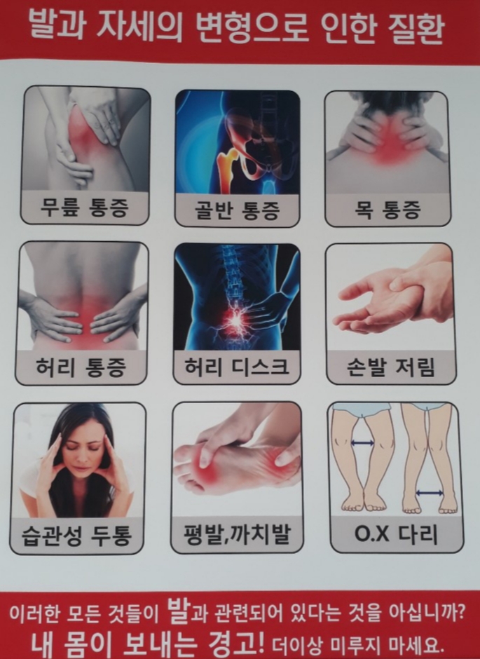알즈너 강건대리점