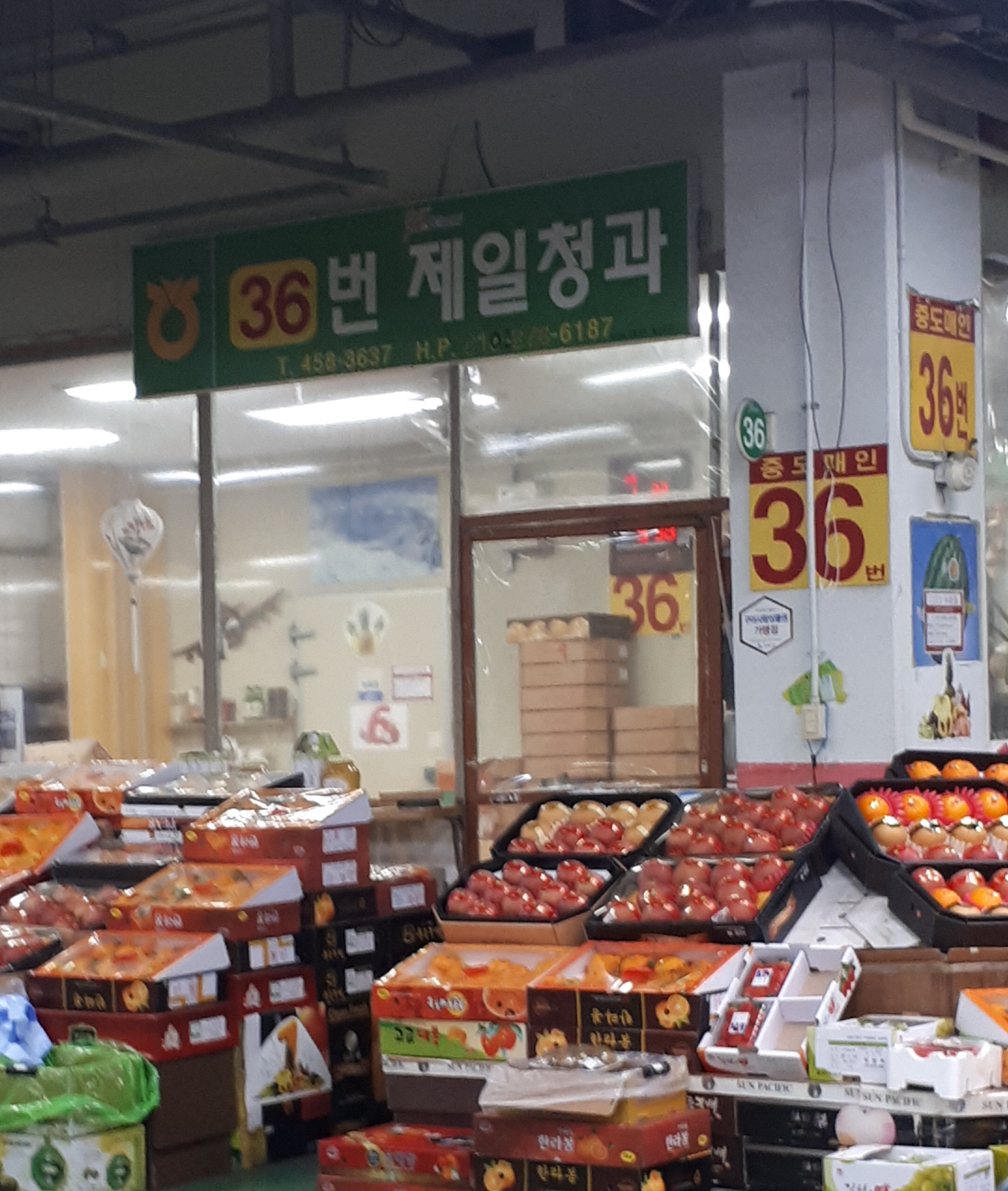 제일청과