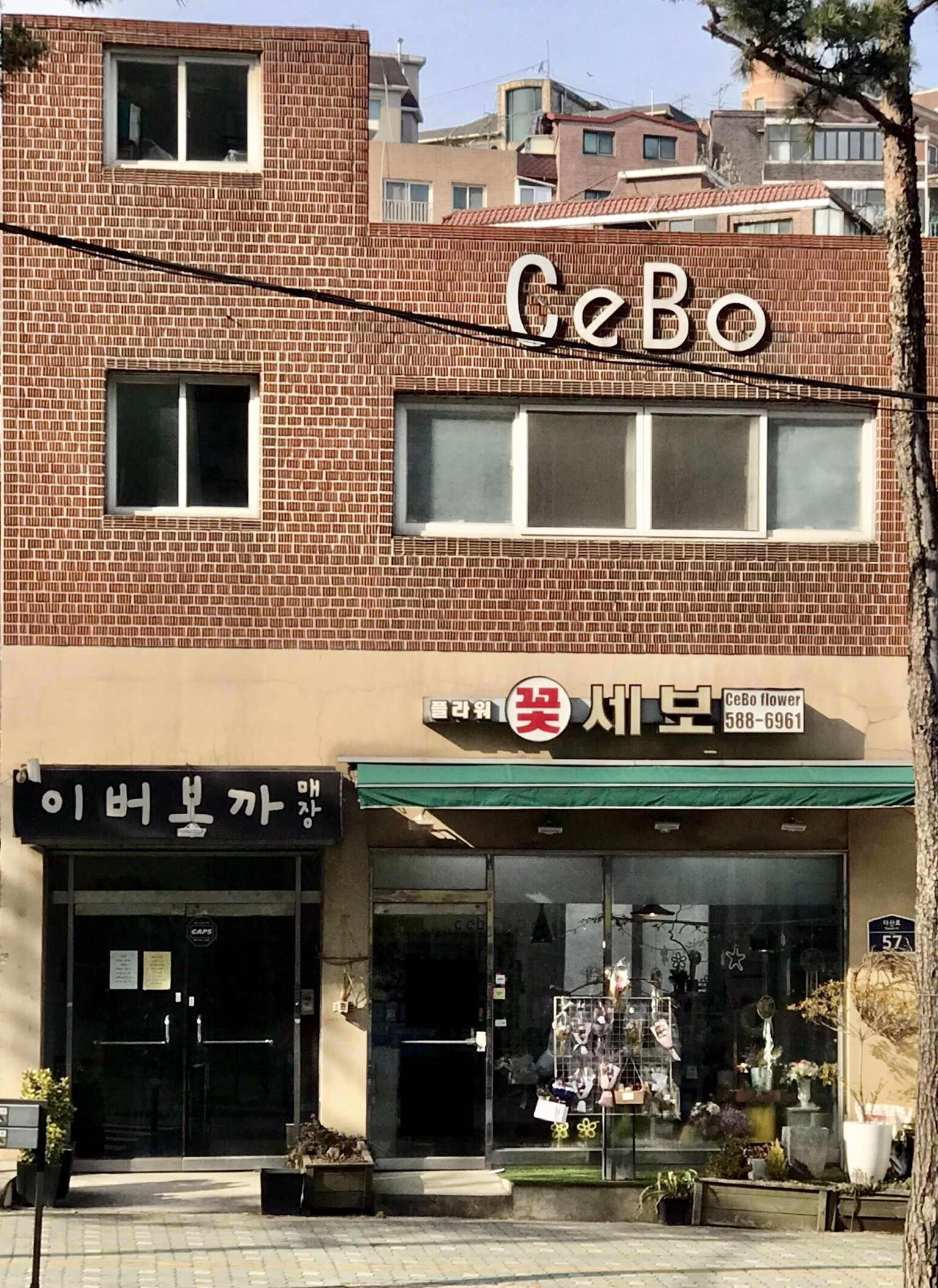 세보