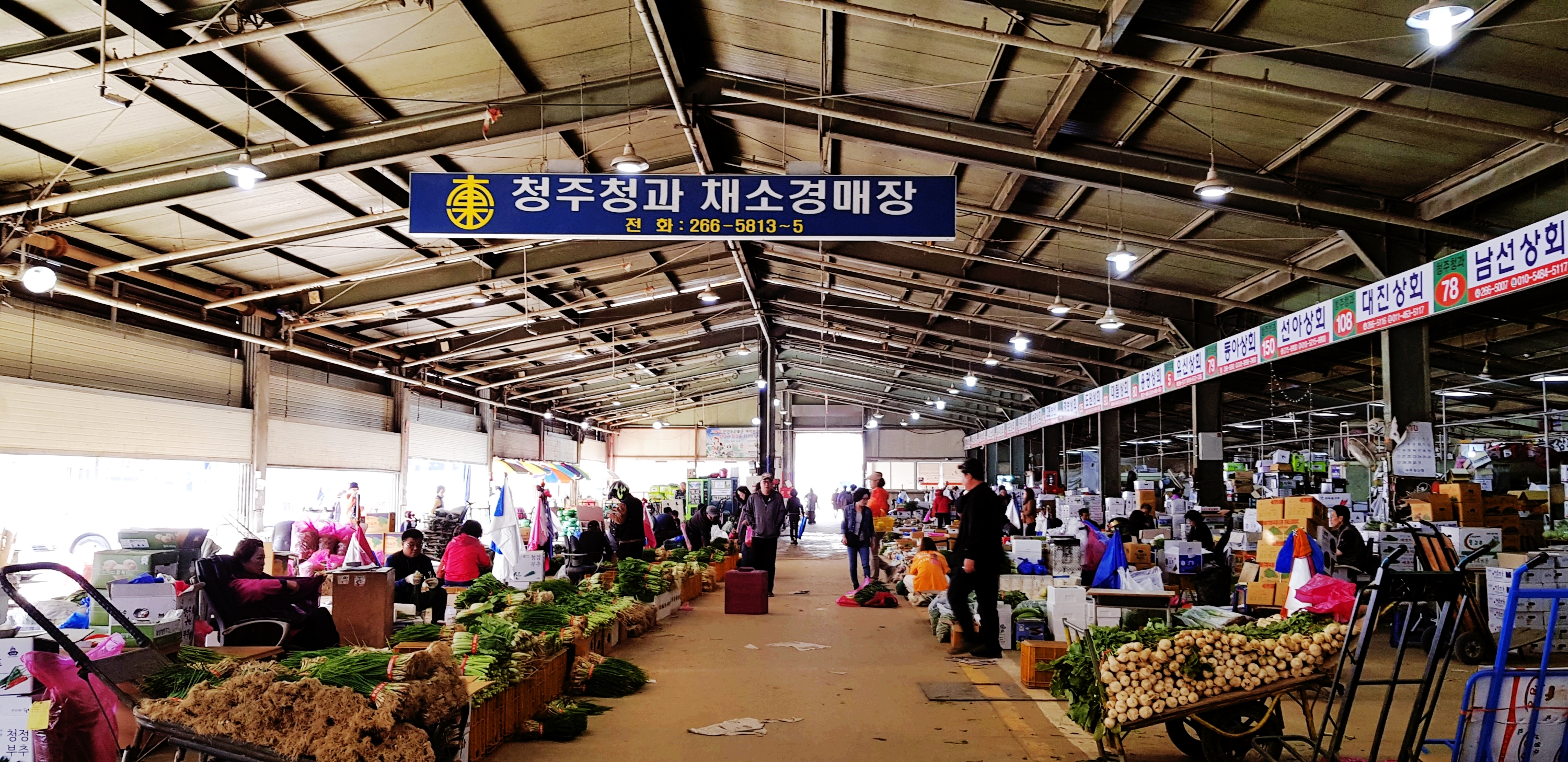 총각네청주식자재 전문유통