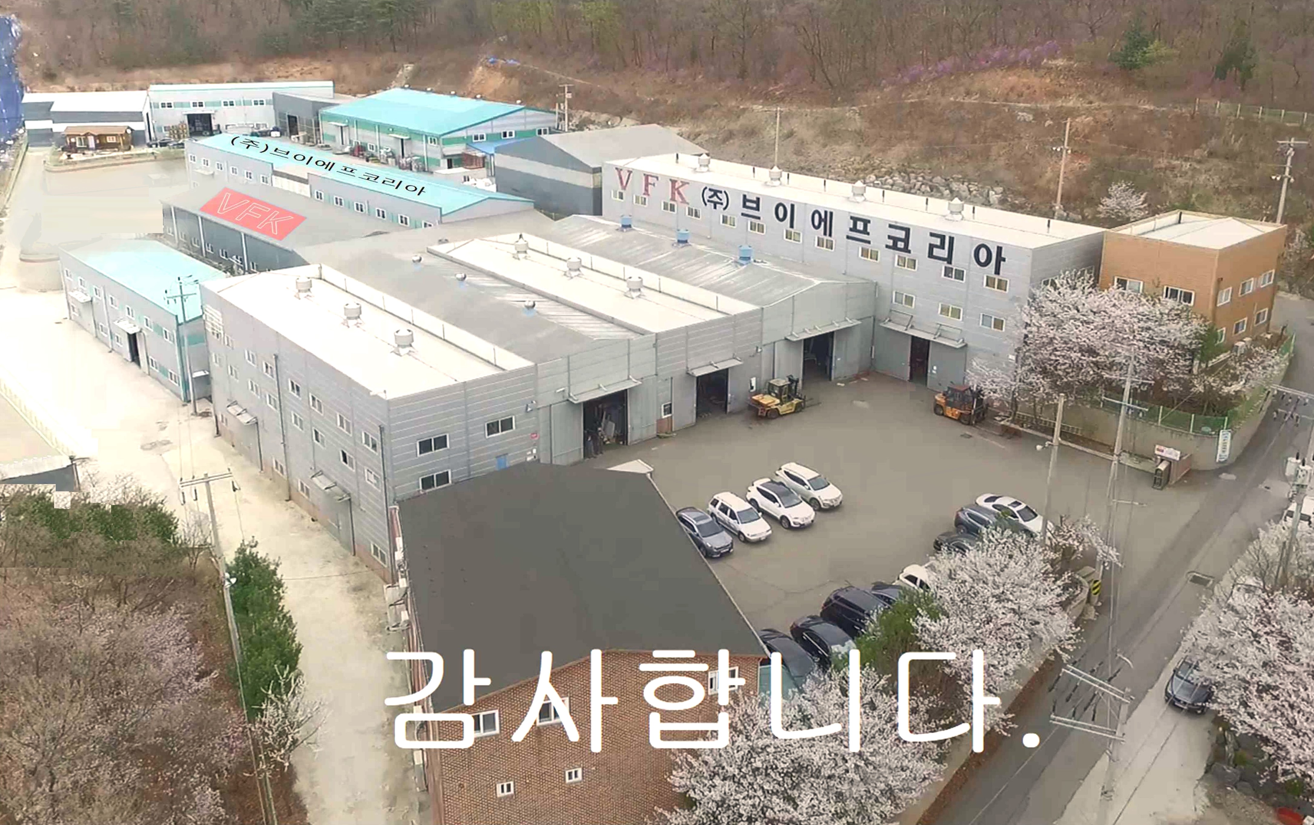 브이에프코리아