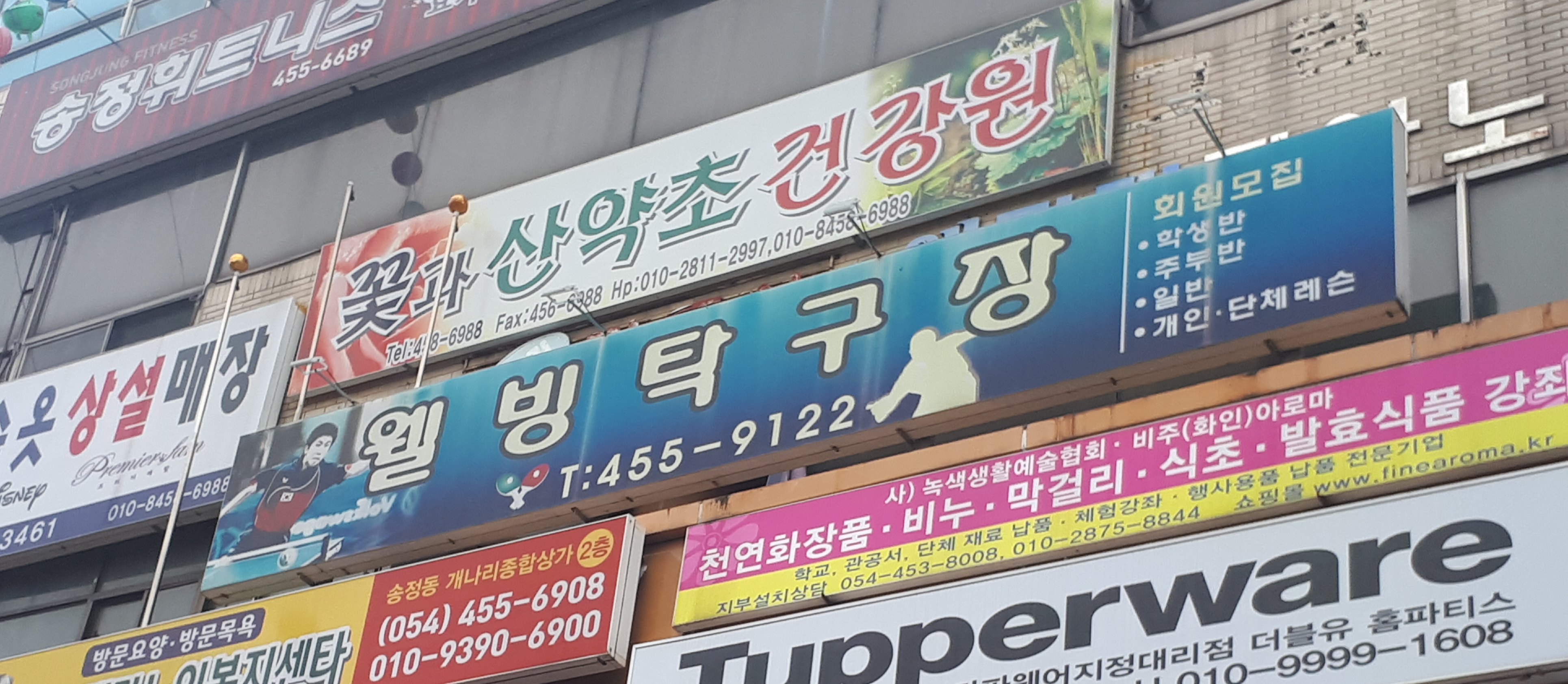 웰빙탁구장