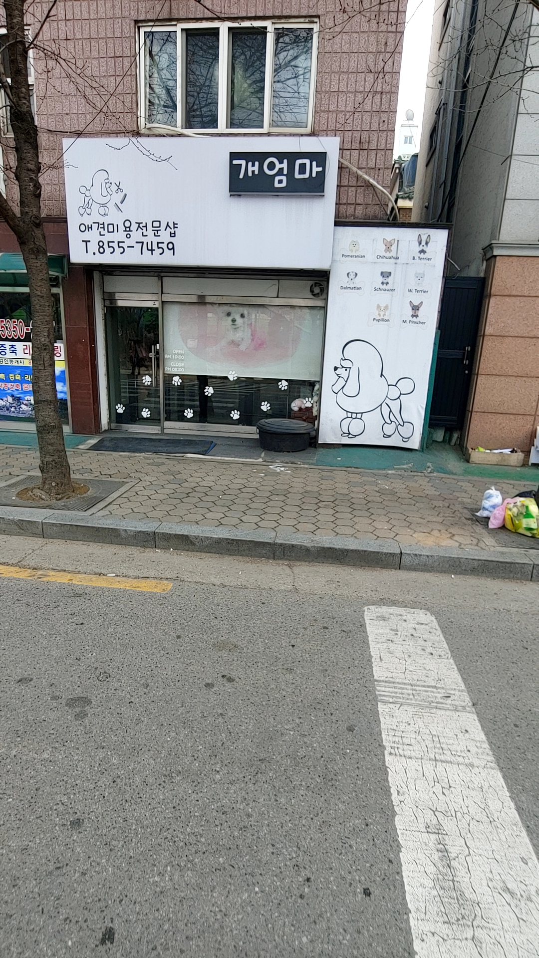 이미지