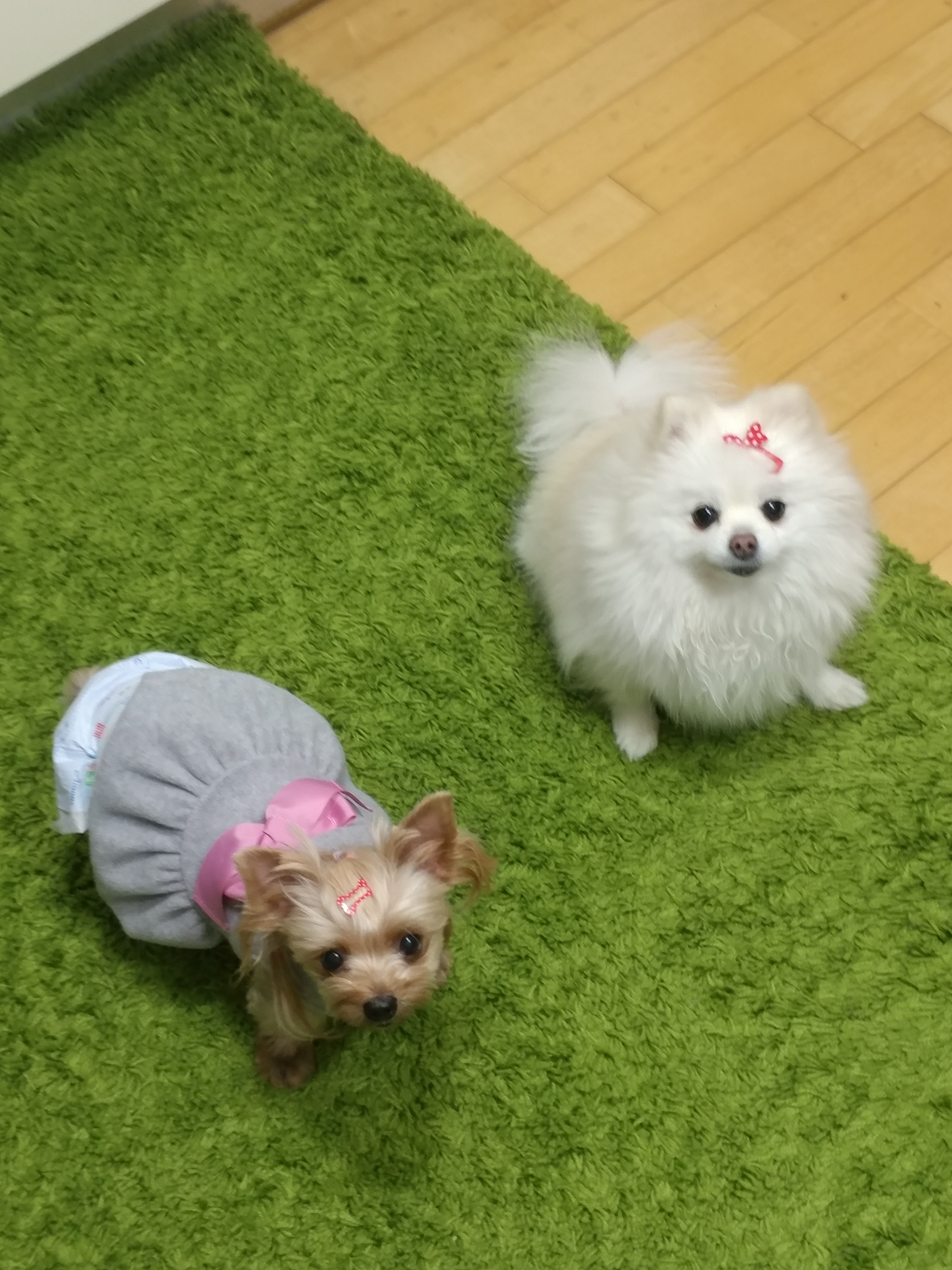 이미지
