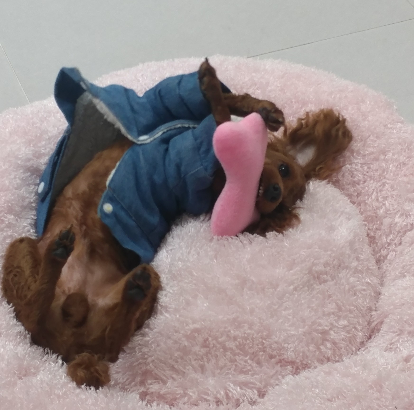 이미지