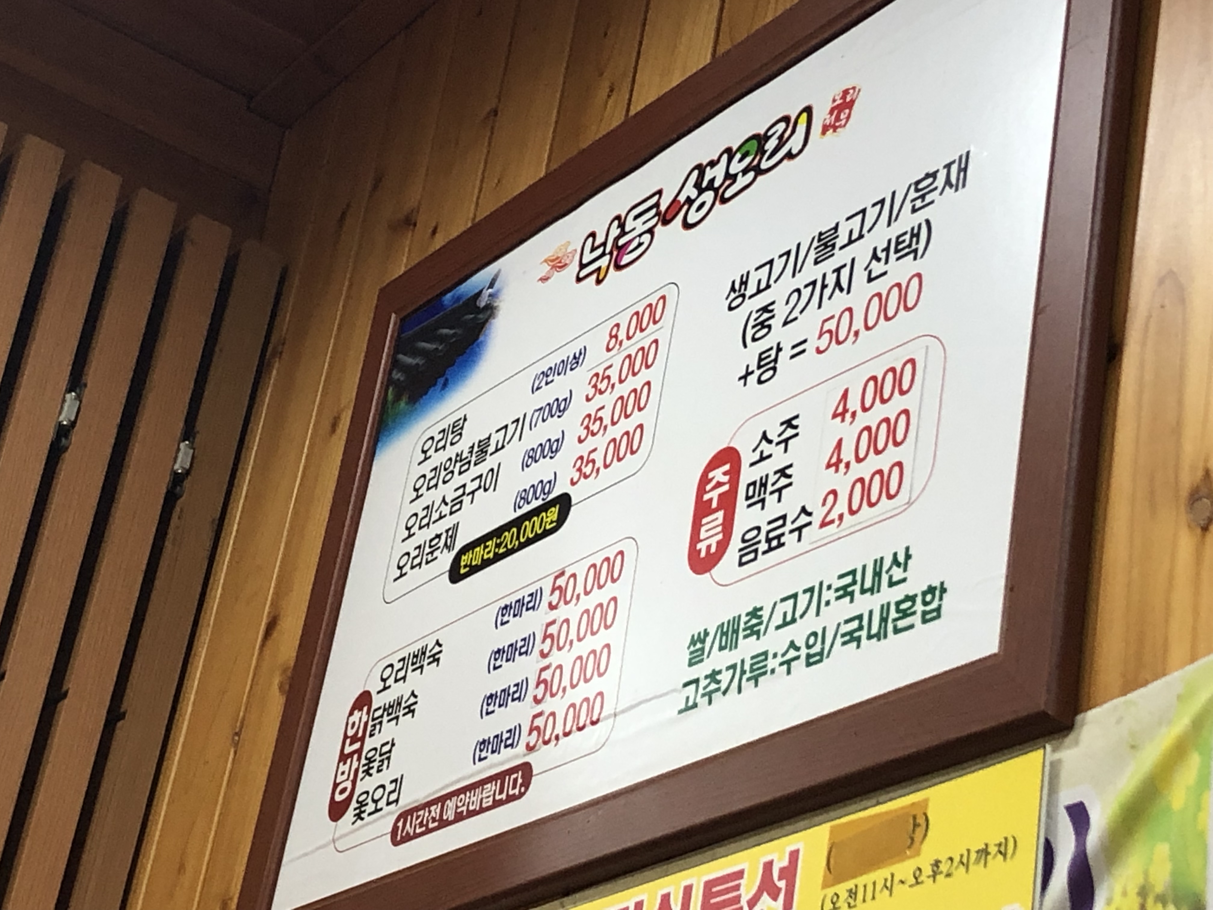 낙동생오리