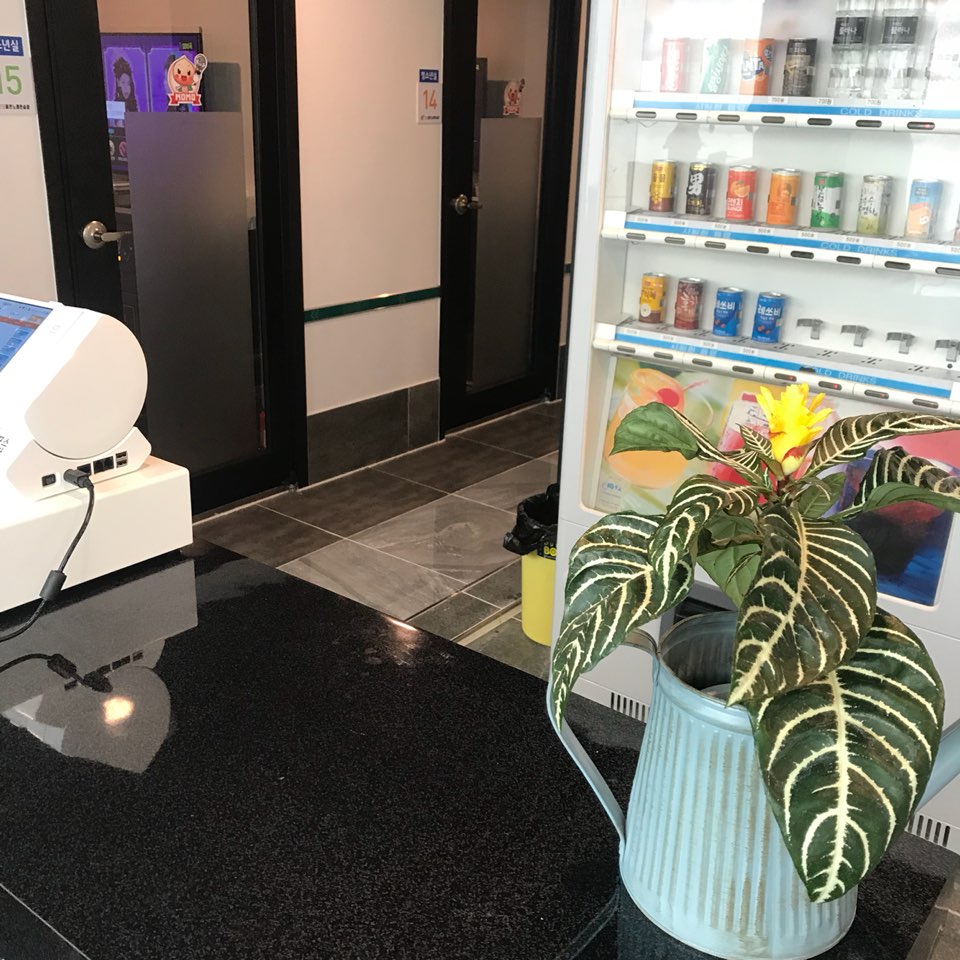 모모동전노래연습장