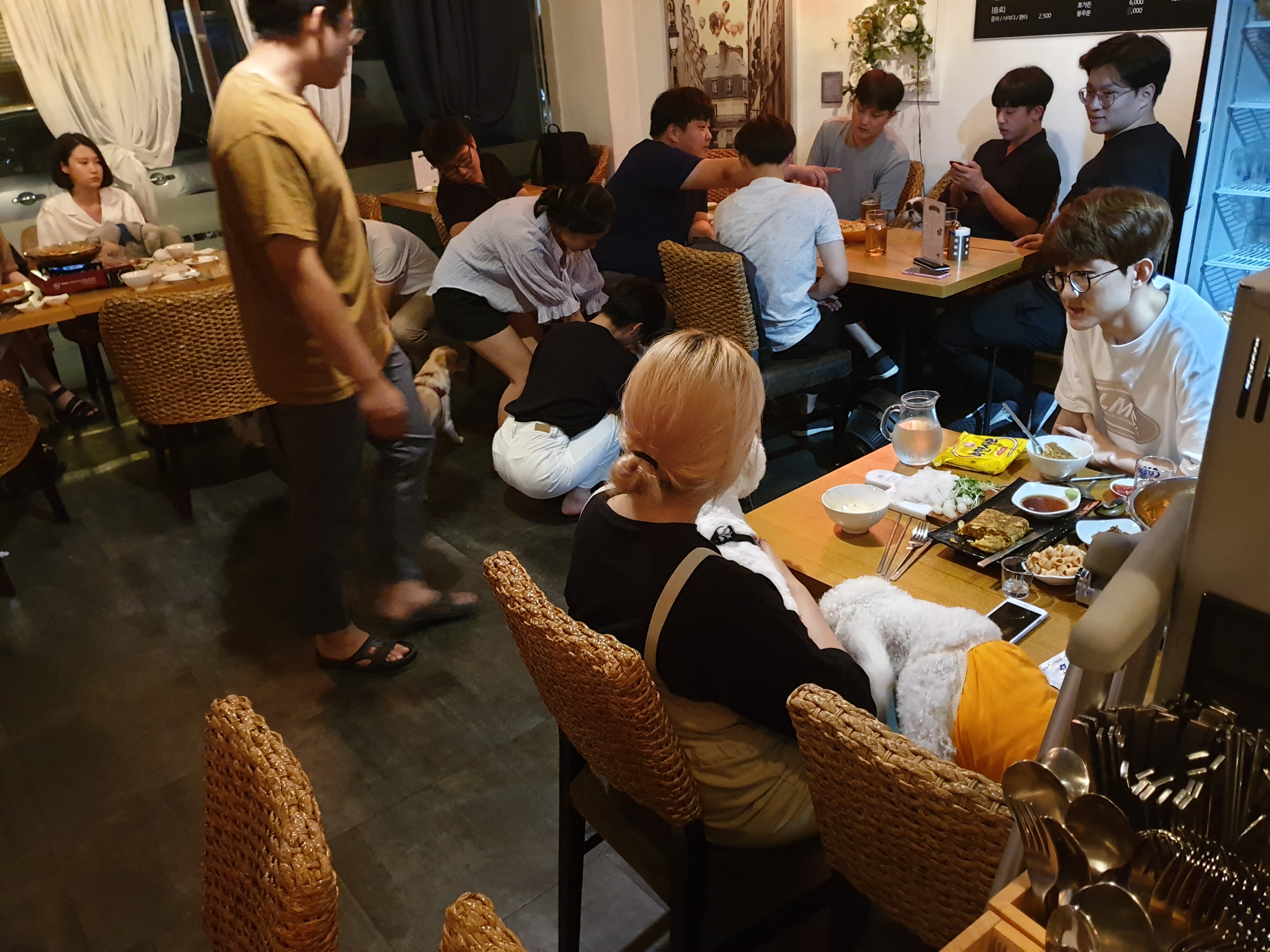 술노리아 반려동물 동반 애견카페