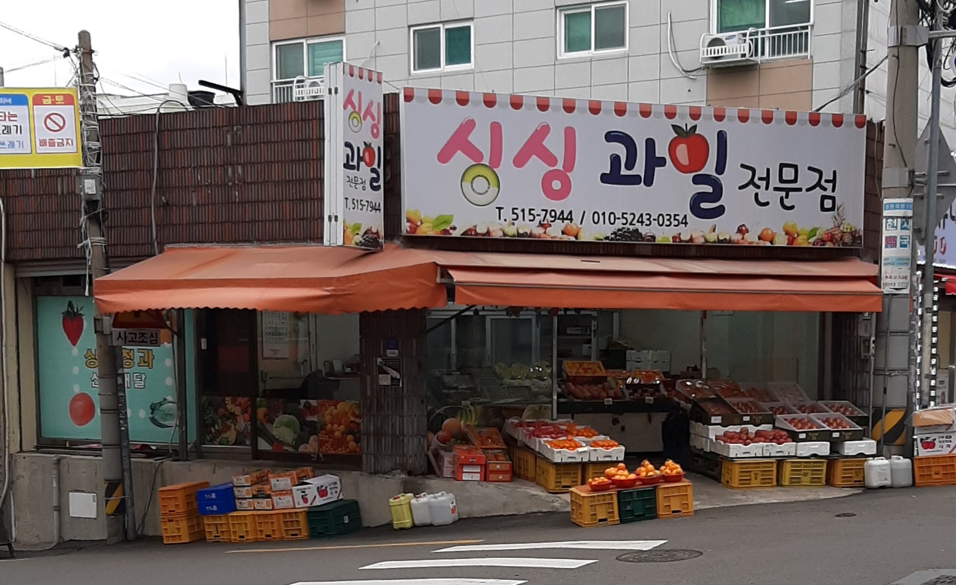 싱싱과일