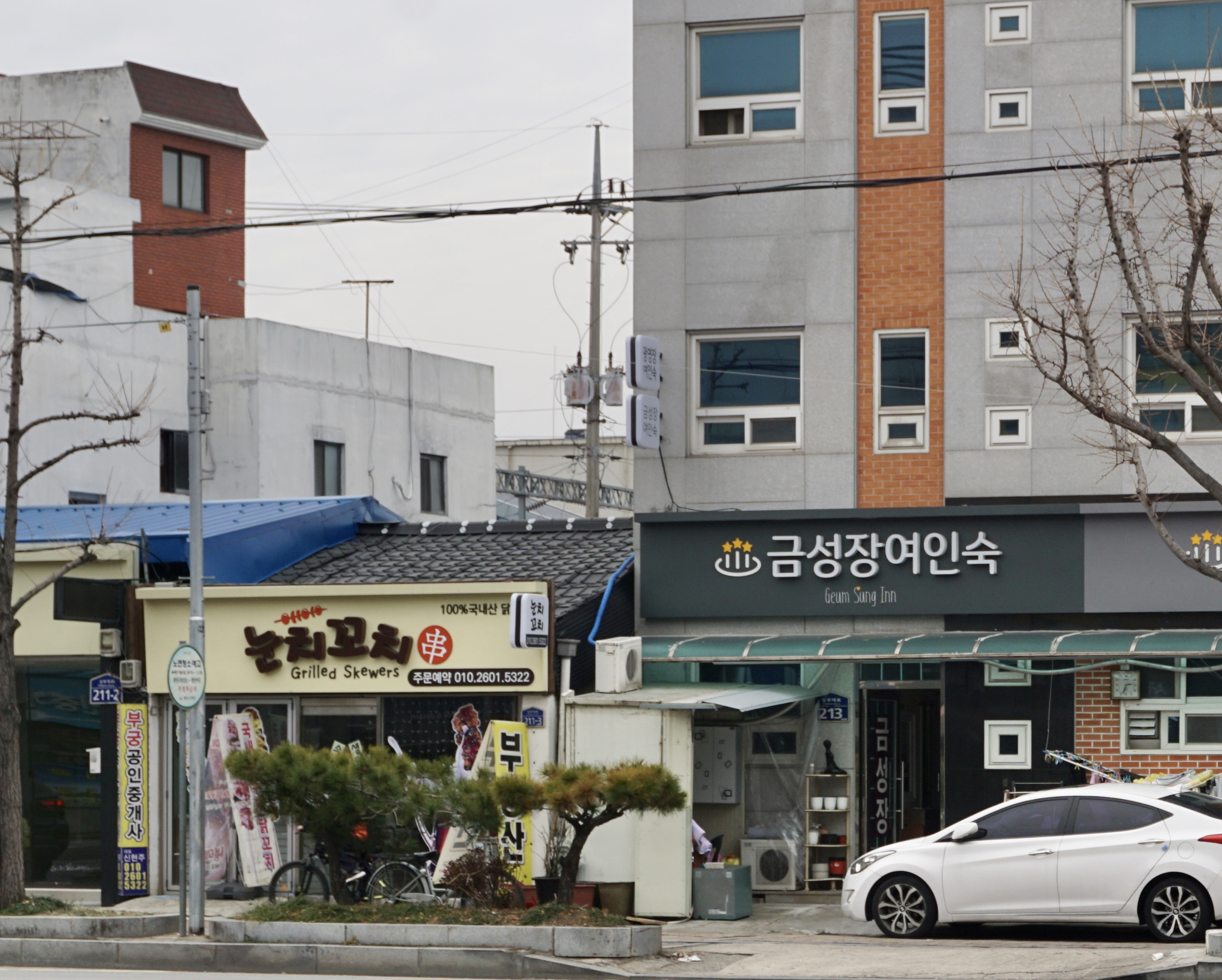 금성장