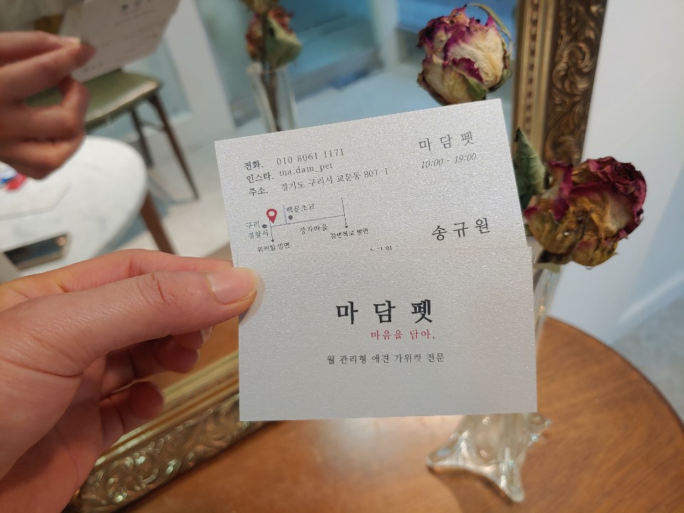 쓰담쓰담 대표 이미지