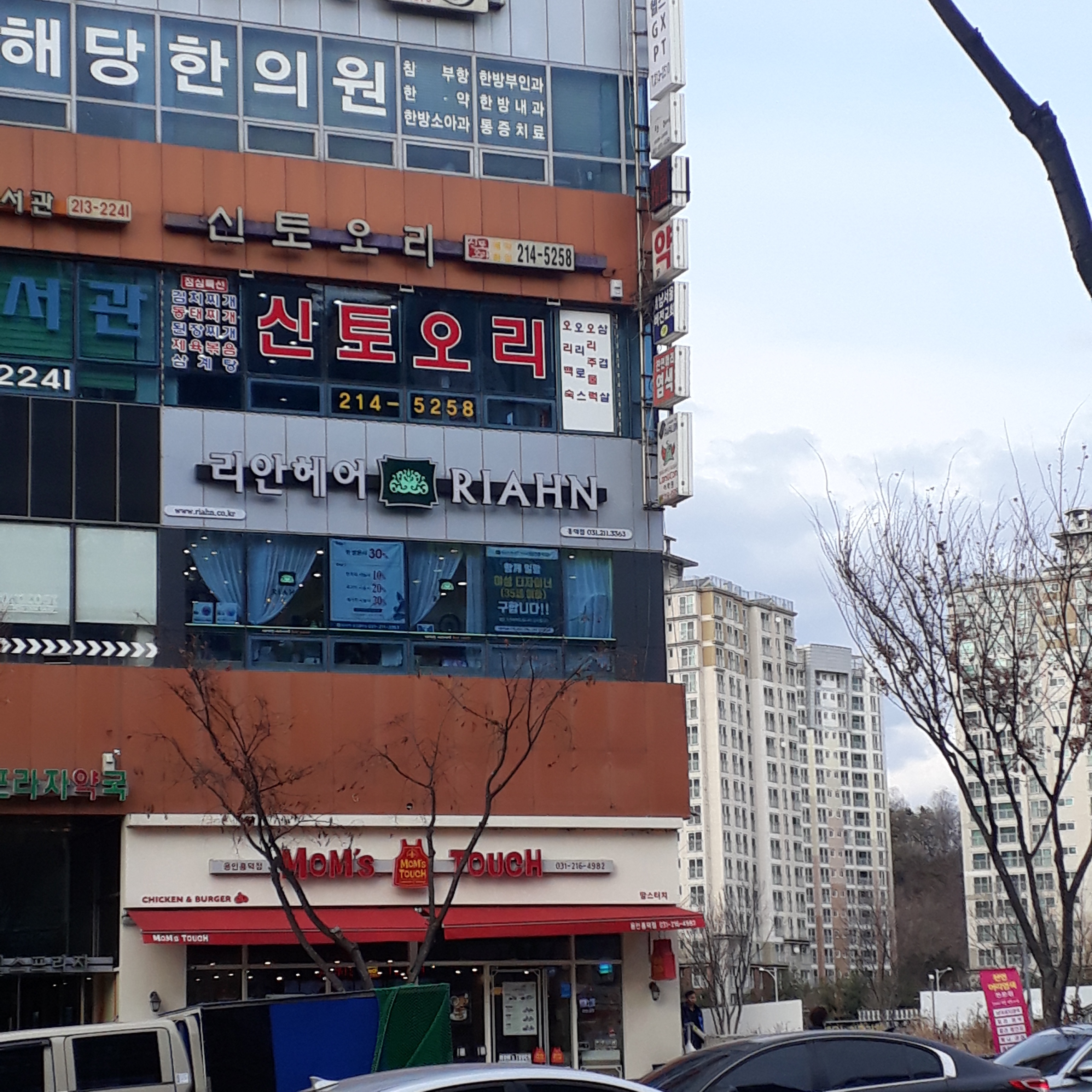 신토오리