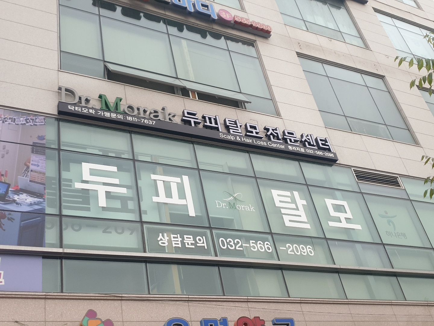 닥터모락 청라점 대표 이미지