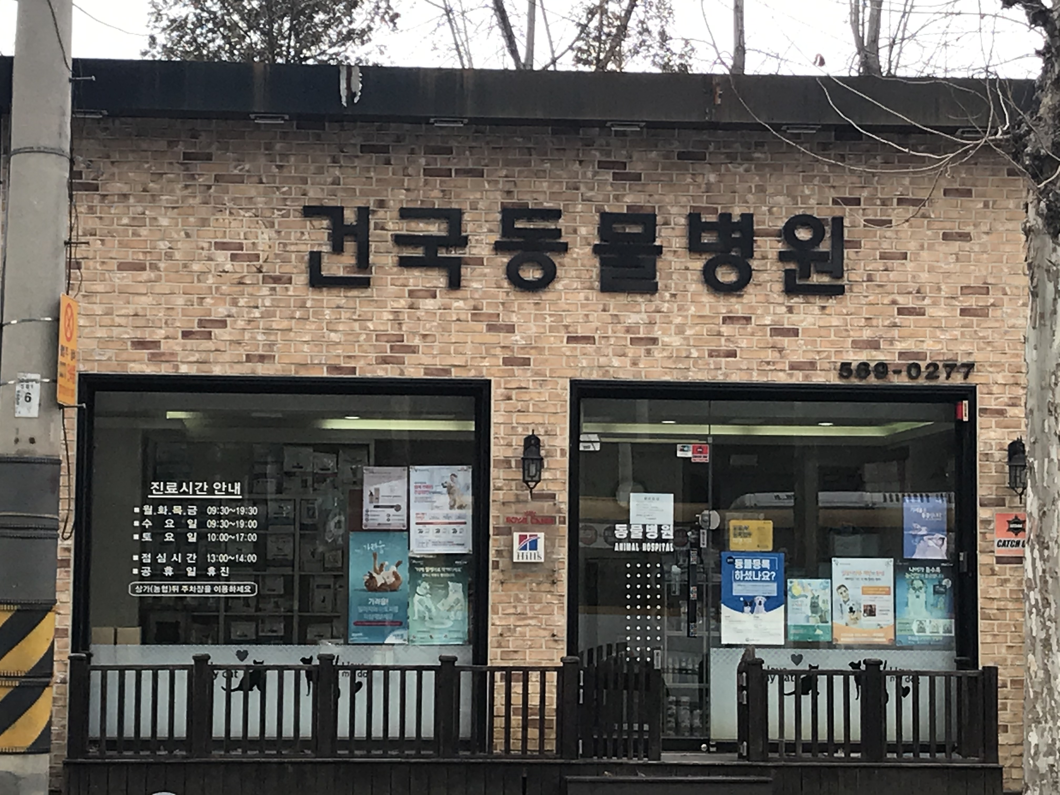 건국동물병원 대표 이미지