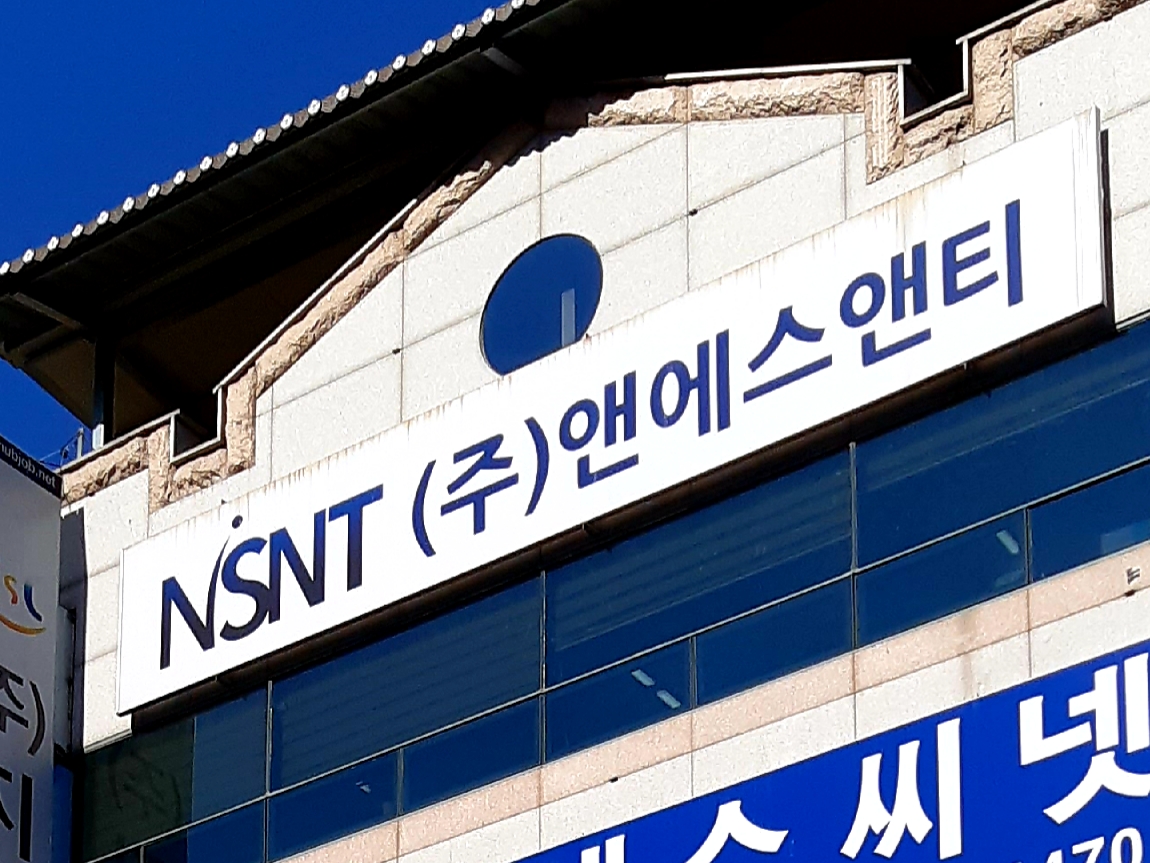 앤에스앤티