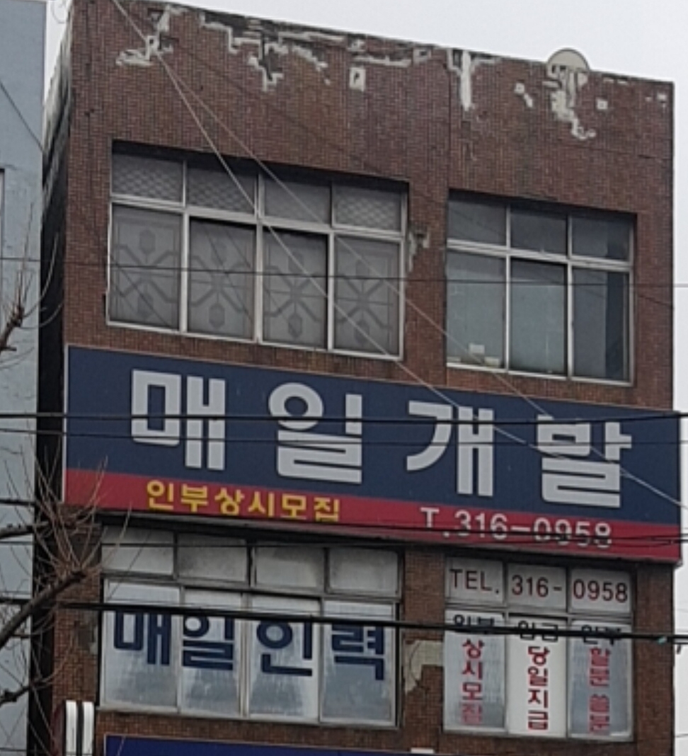 매일개발