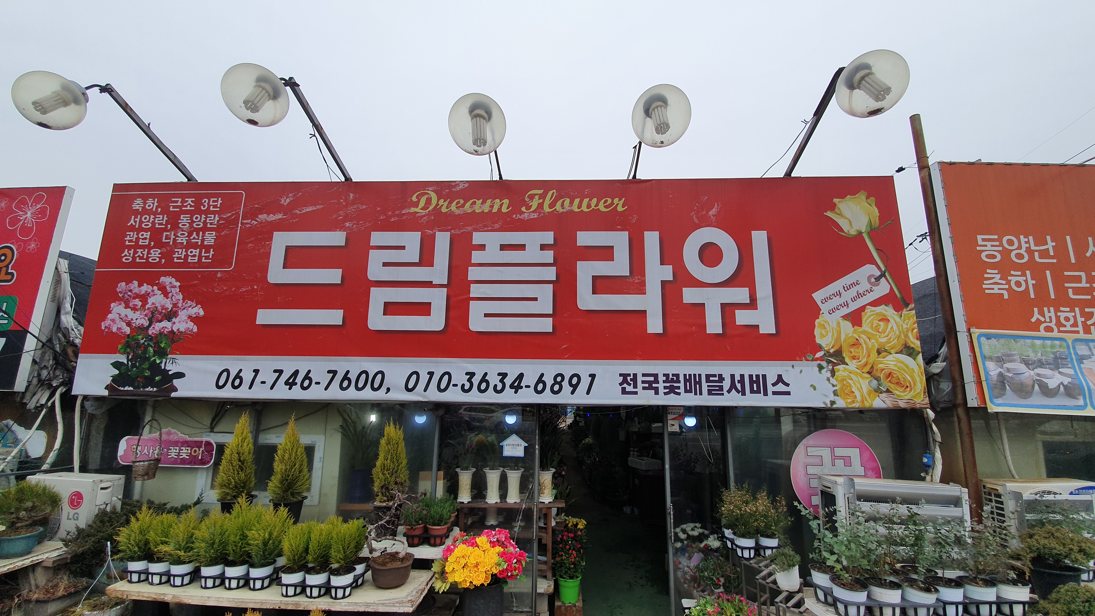 드림플라워