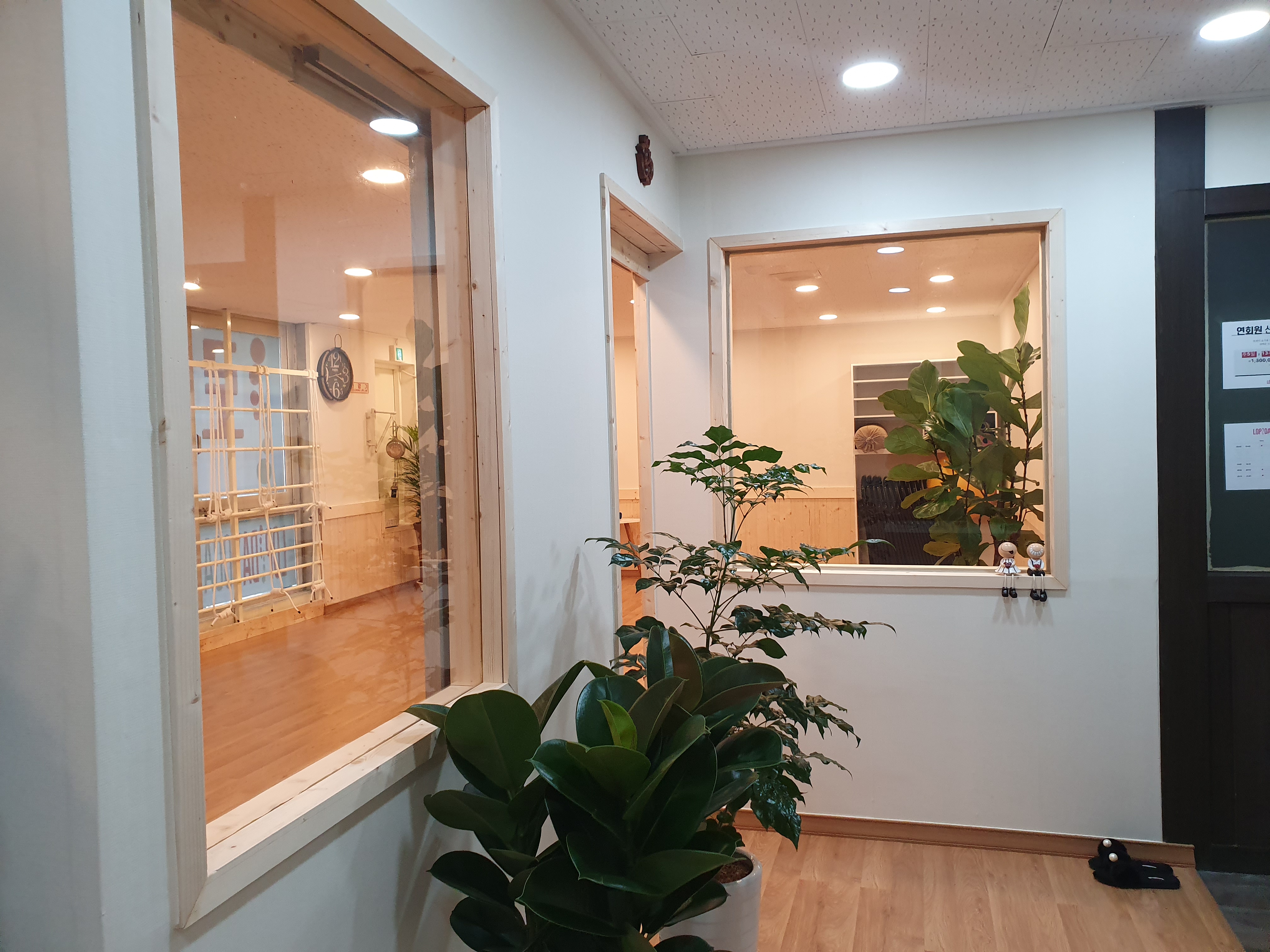 로피다요가원 대표 이미지