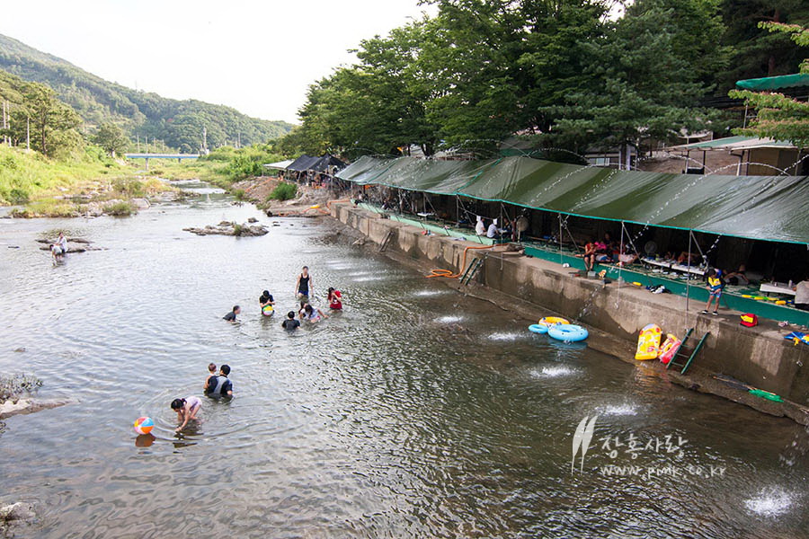 꾀꼬리산장 힐링펜션 & 계곡 힐링식당