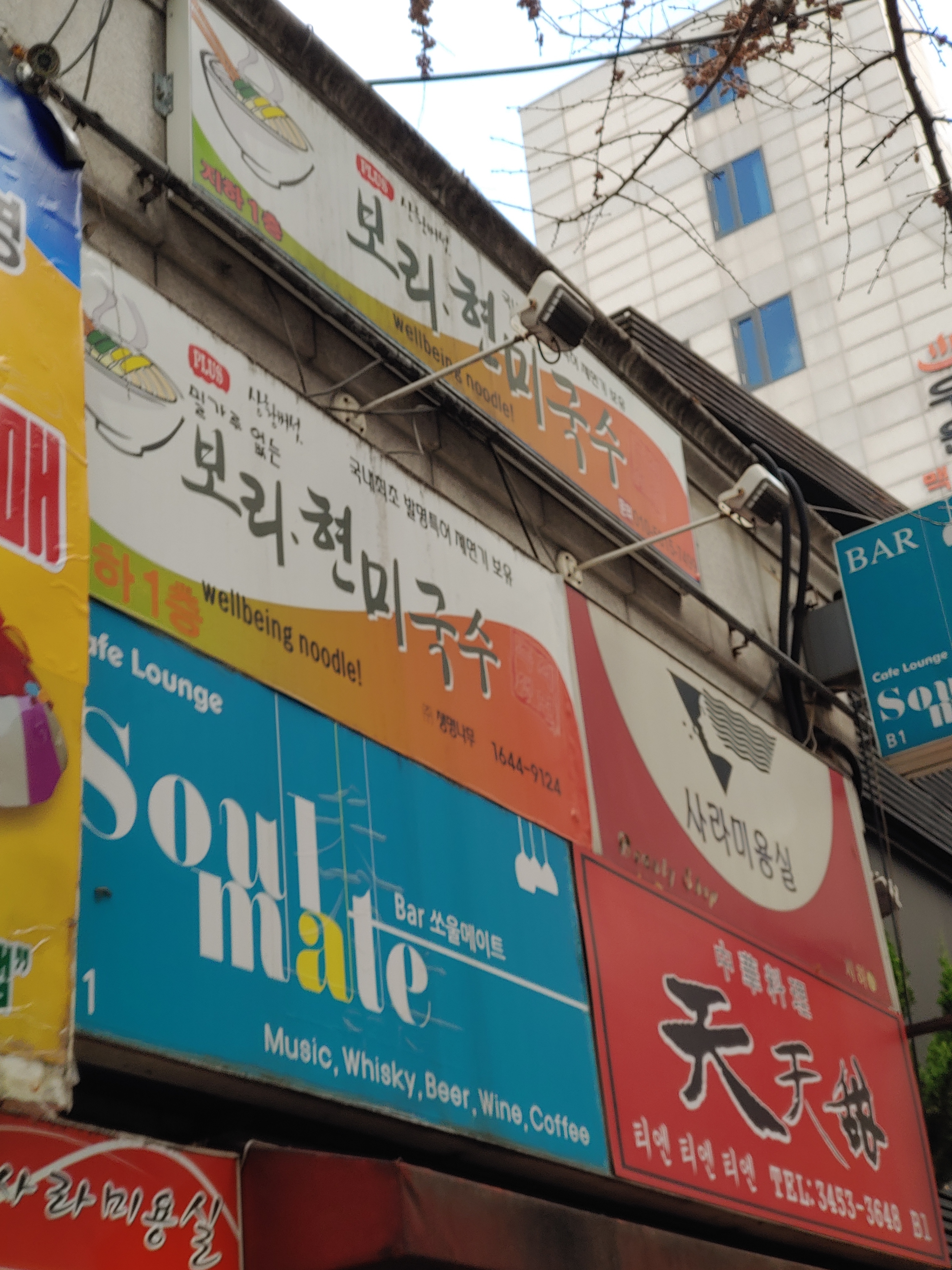 보리현미국수
