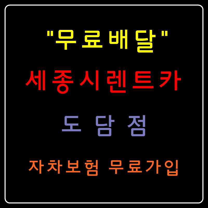 세종시렌트카 도담점