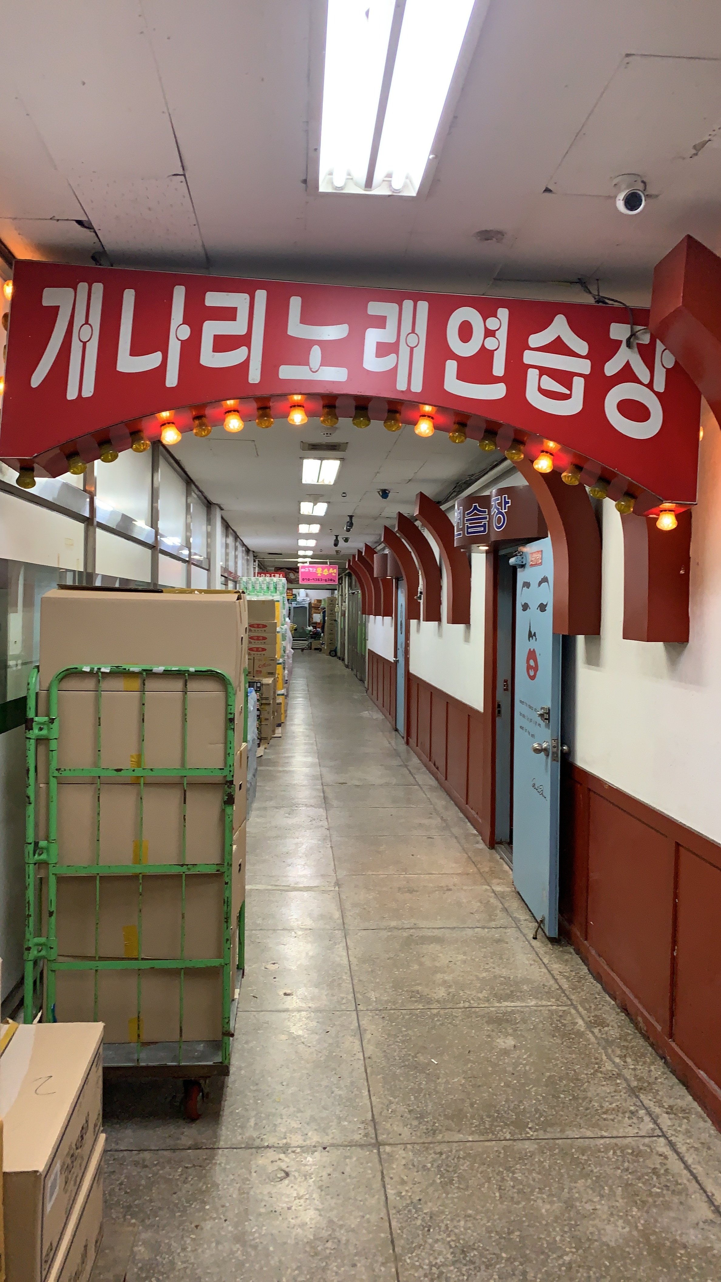 개나리노래연습장