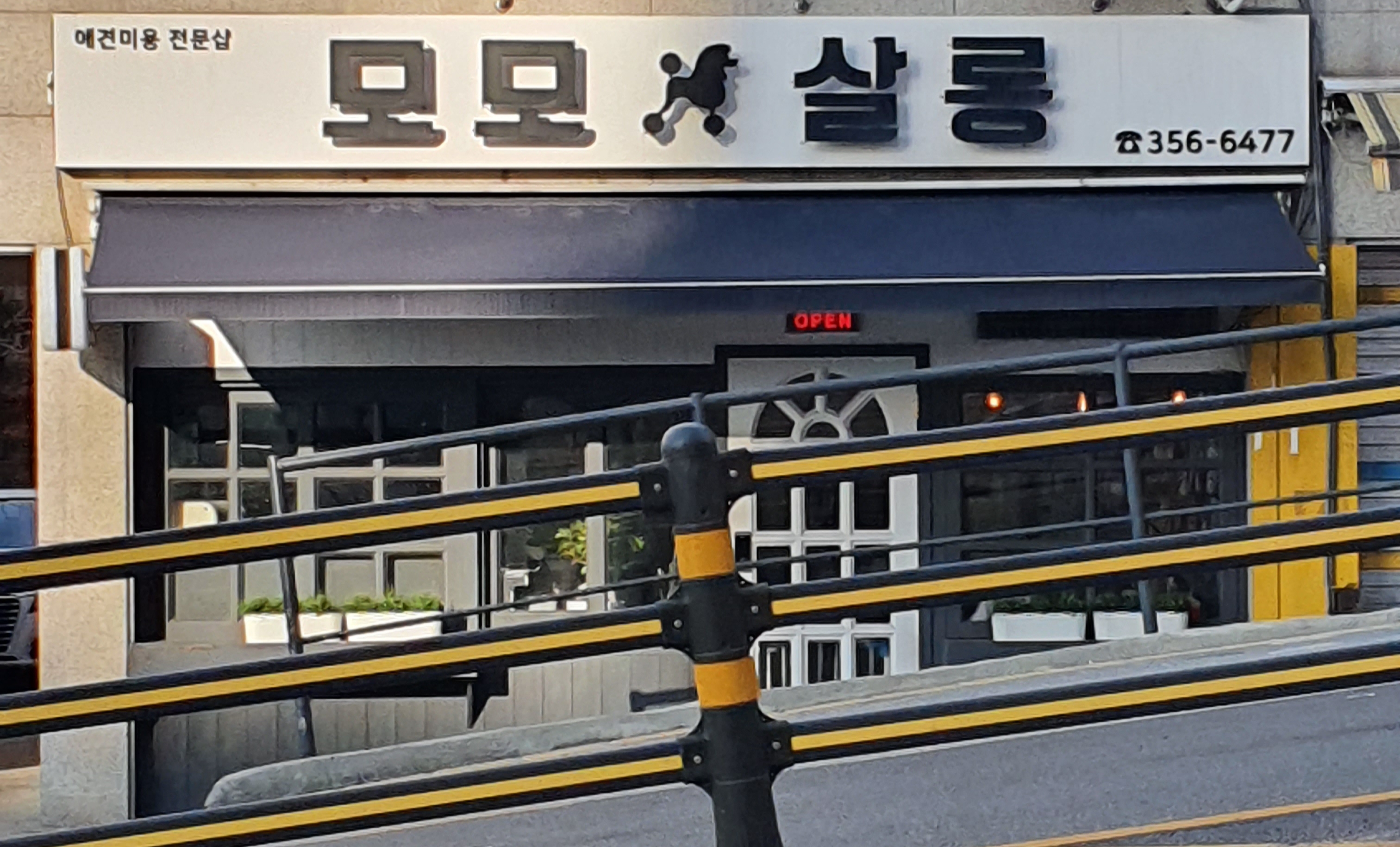 모모펫살롱 대표 이미지