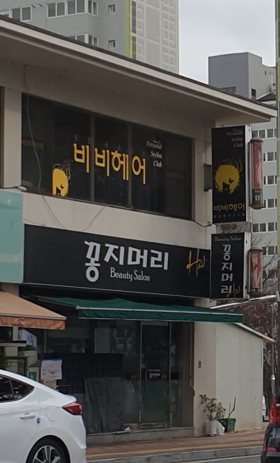 꽁지머리