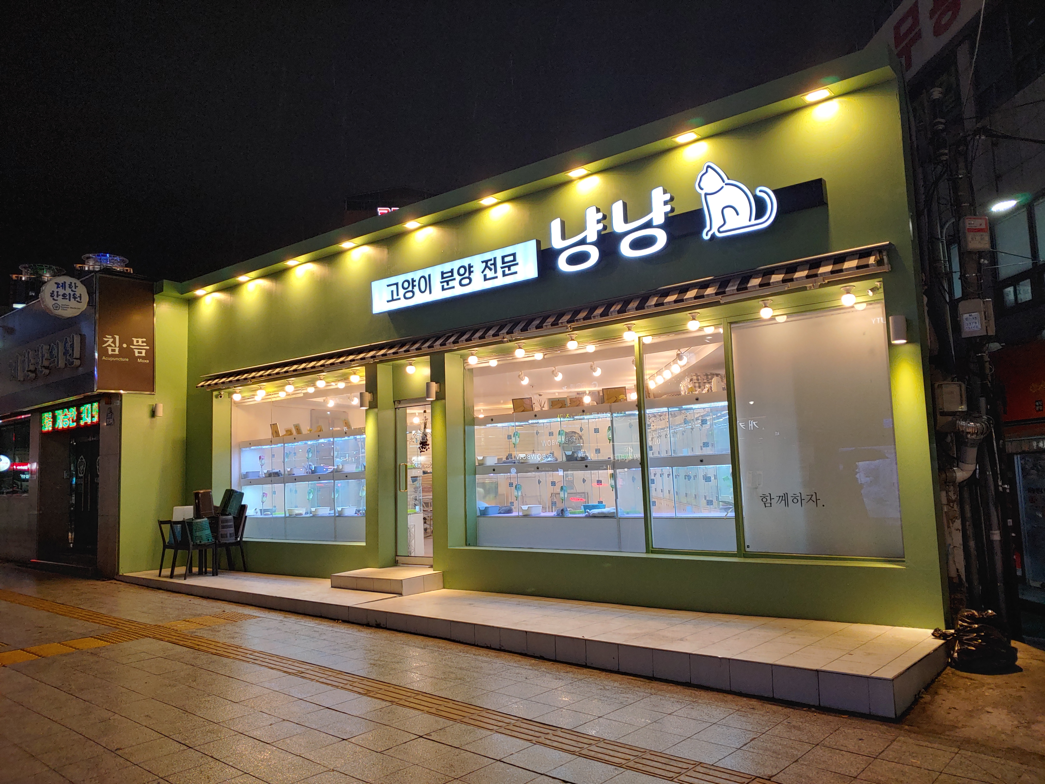 냥냥 고양이 대구본점
