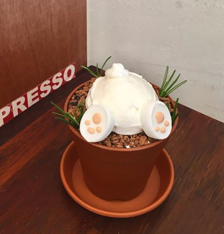 쿠오레에스프레소문경