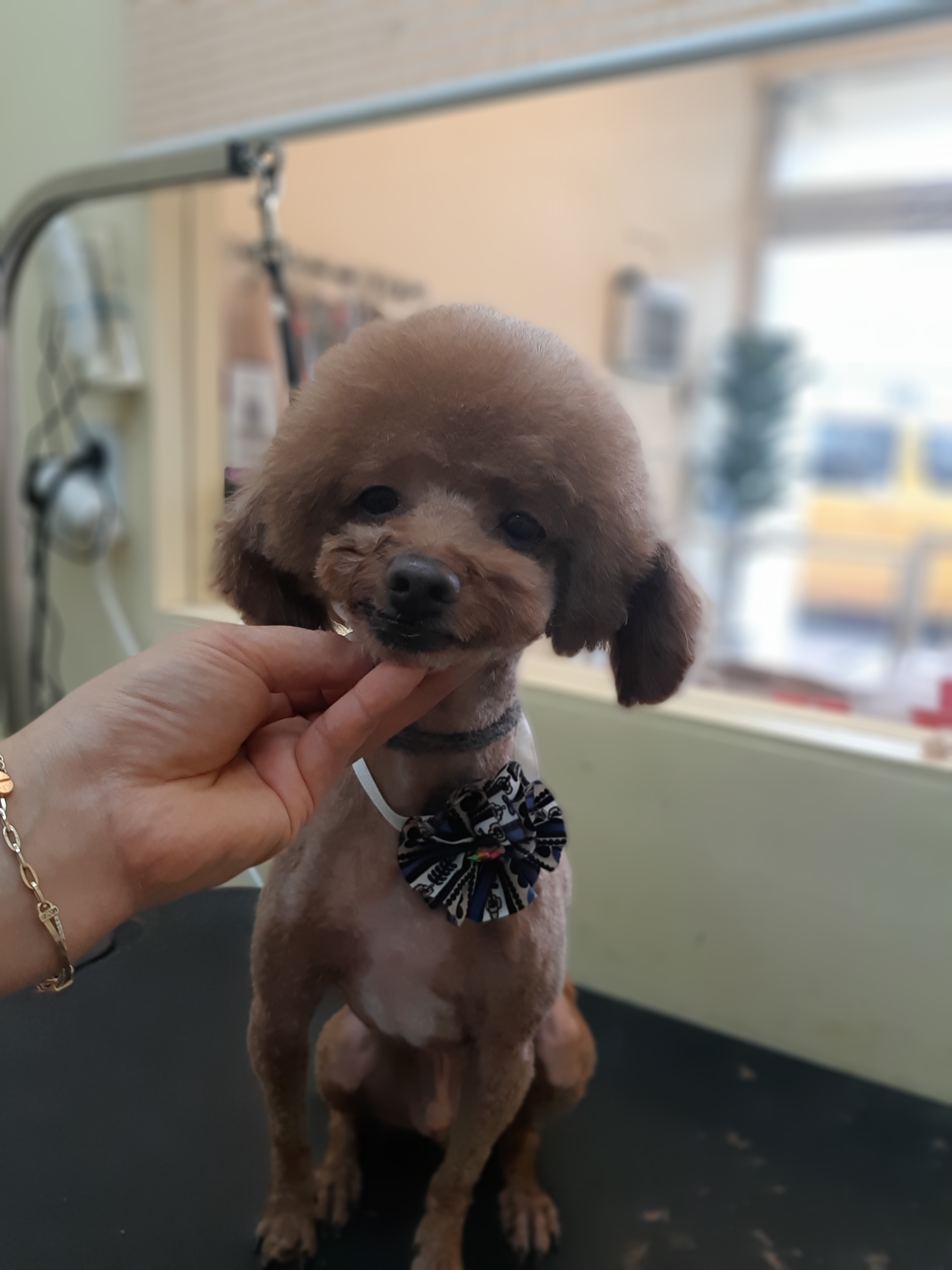 개웃는날 대표 이미지