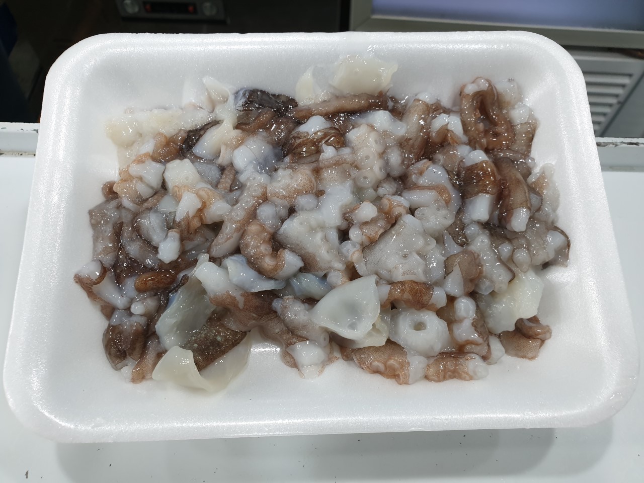 광어15000 서현수산