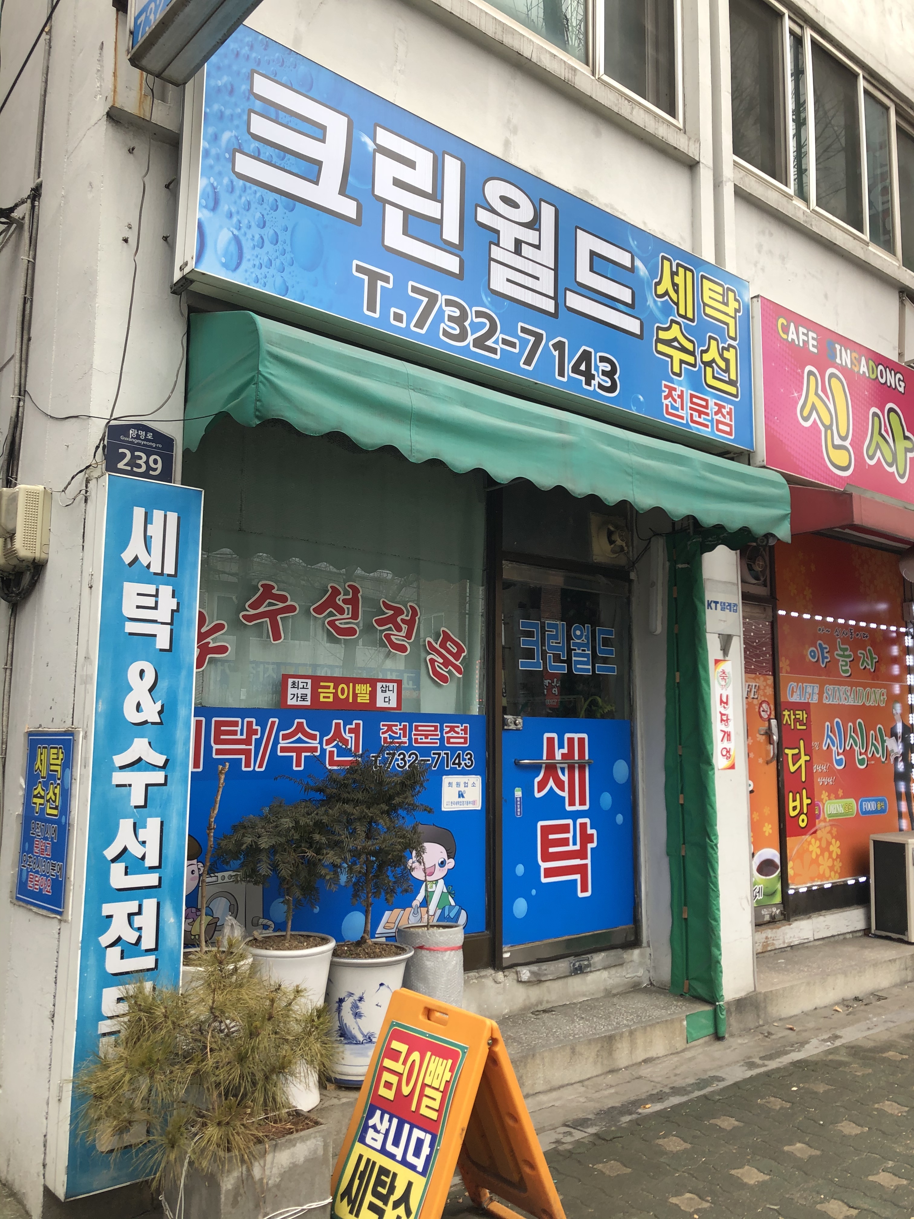 크린월드