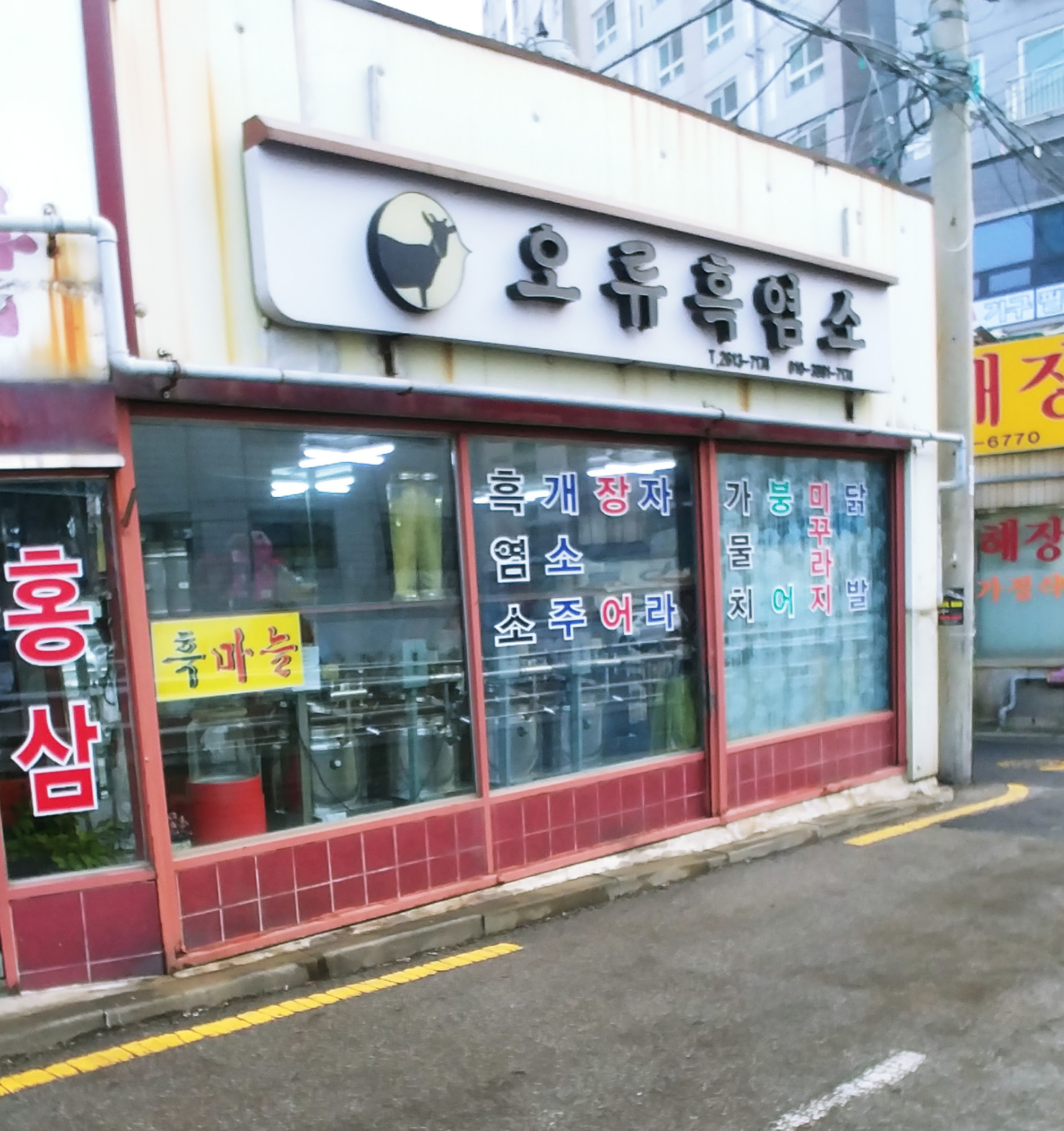 오류흑염소