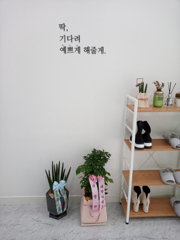 다올샵