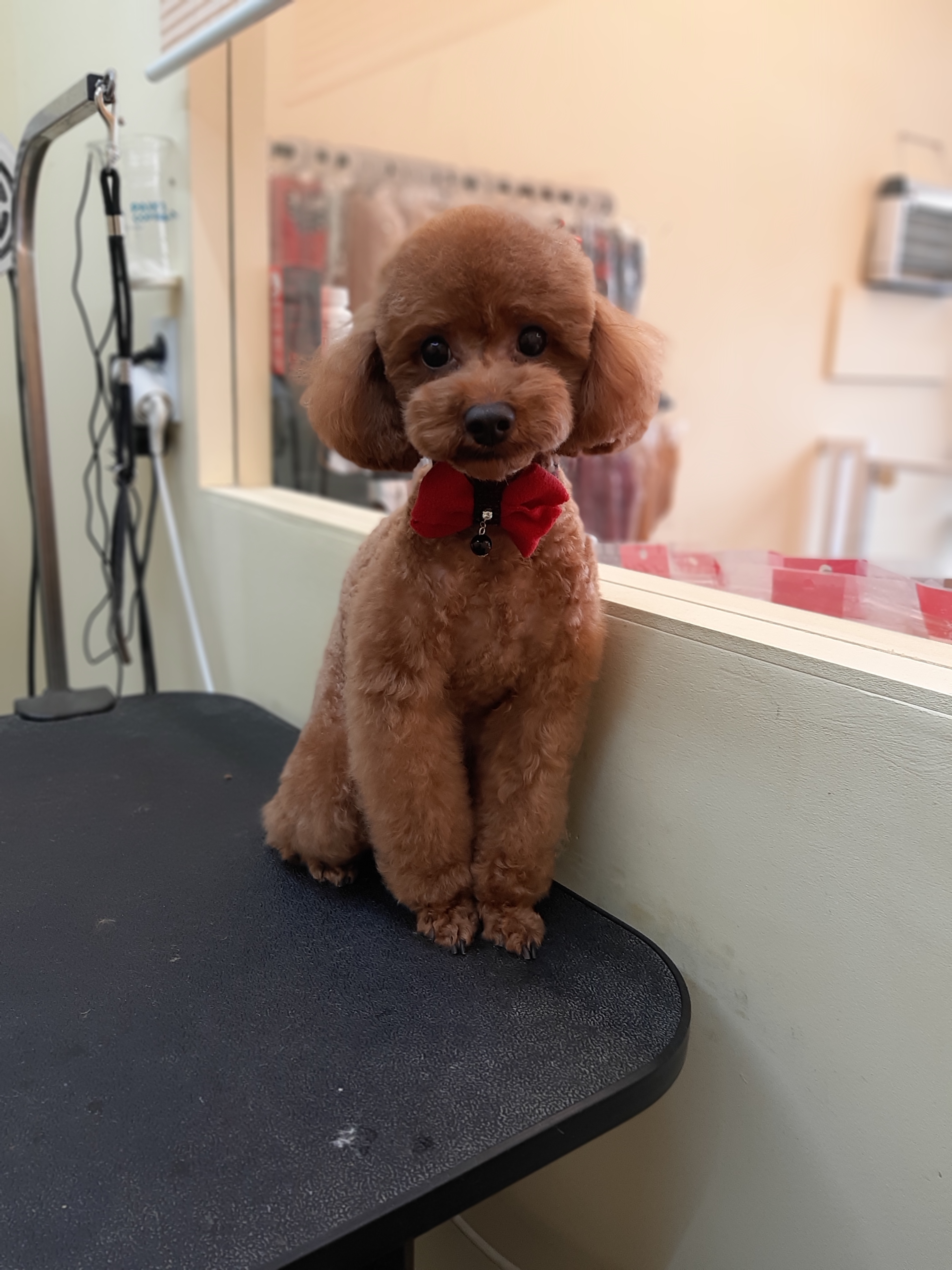 개웃는날 대표 이미지